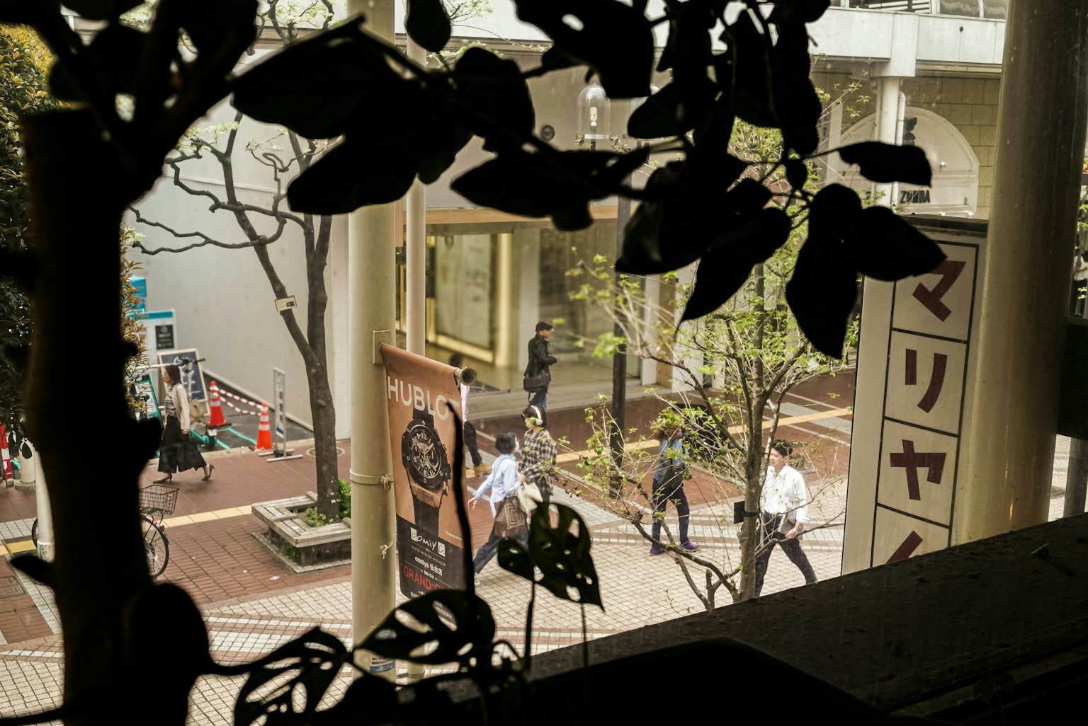 2024-05-viewpoint-report-image-7