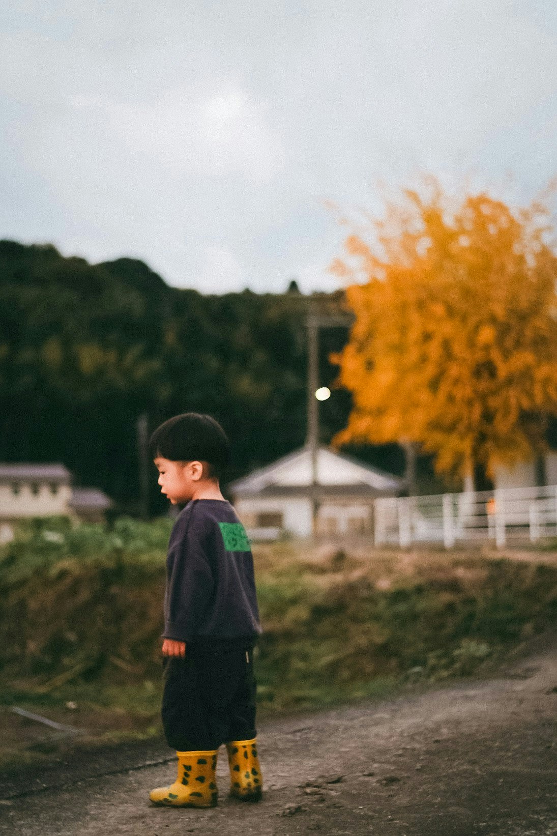 2025-09-trace-of-autumn-image-10