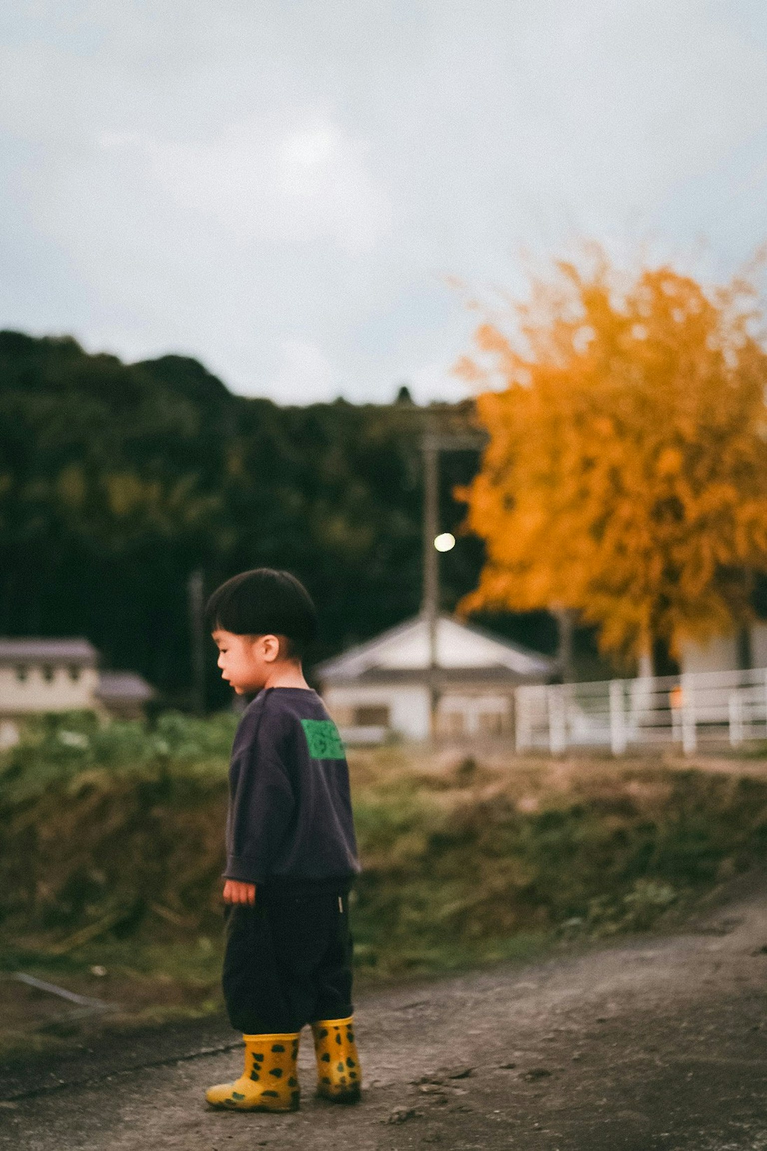 2025-09-trace-of-autumn-image-10