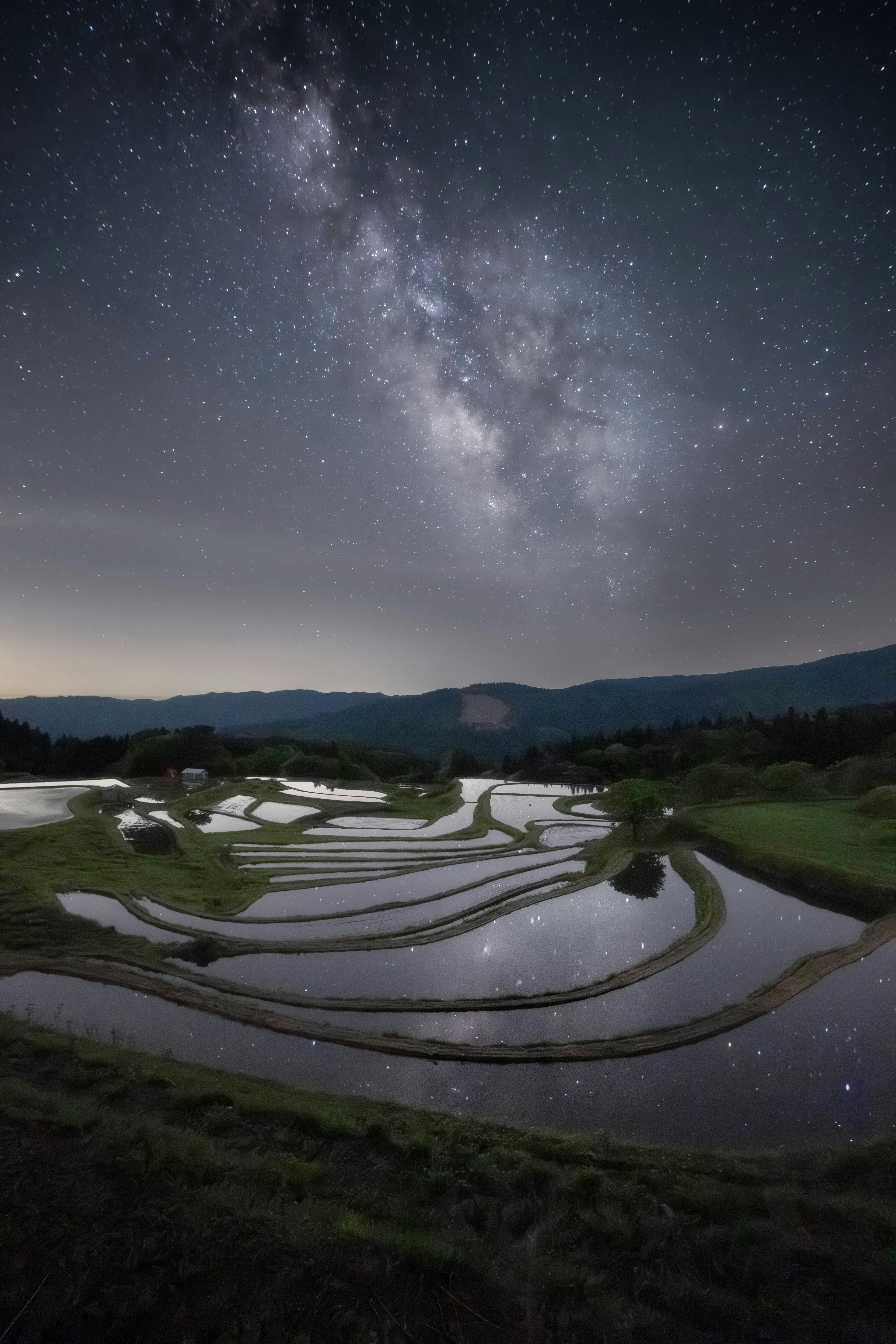 2023-12-landscape-treasures-award-image-21