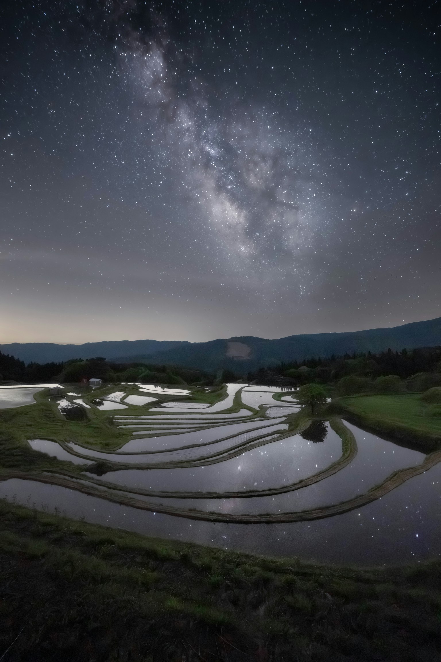 2023-12-landscape-treasures-award-image-21