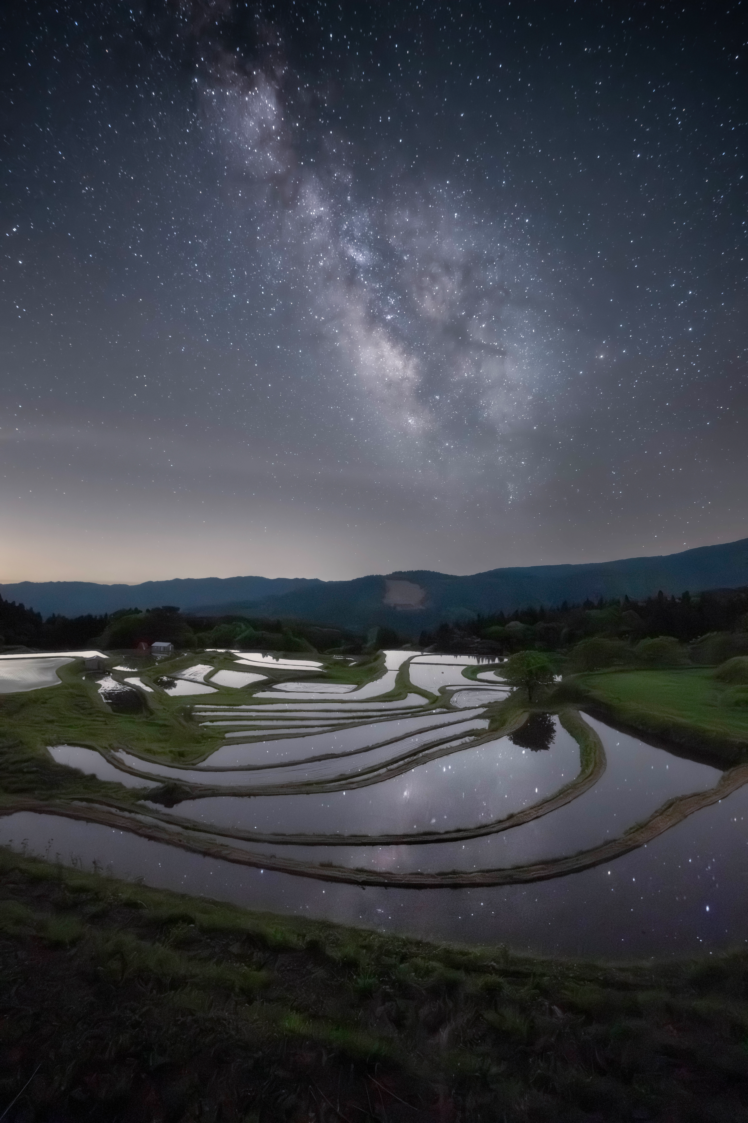 2023-12-landscape-treasures-award-image-21