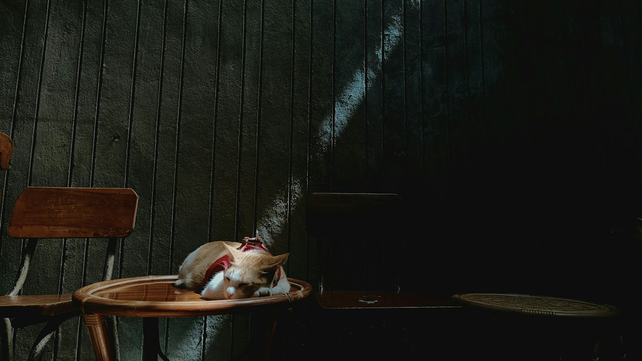 Photo by eu_jinn