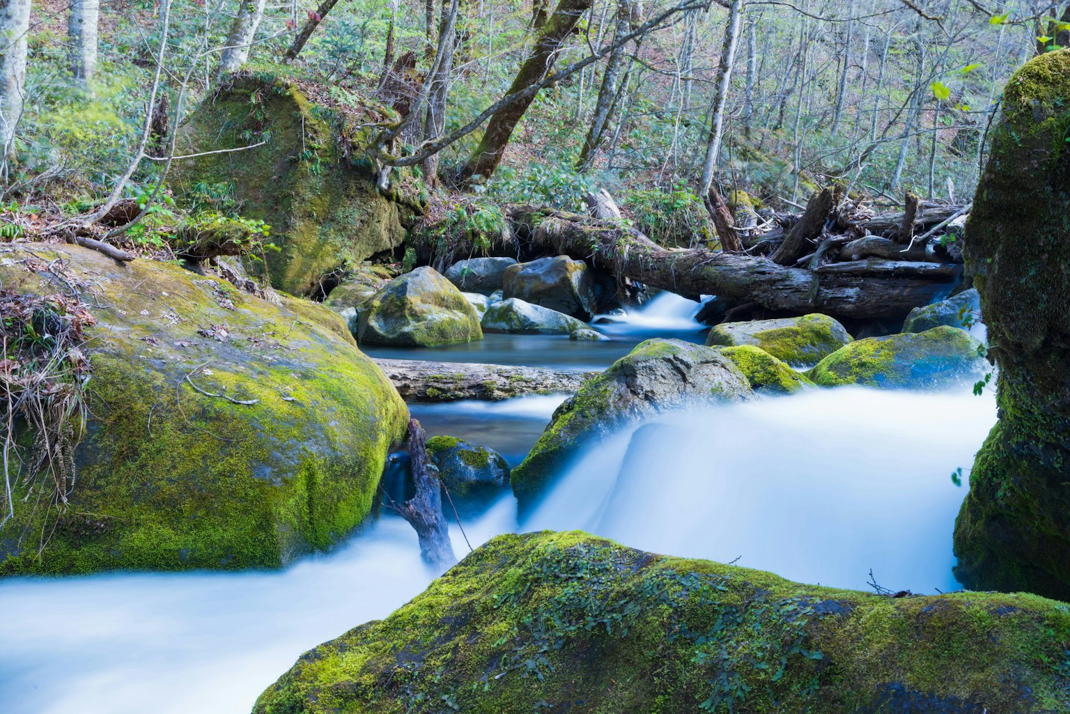 2025-06-aomori-image-9