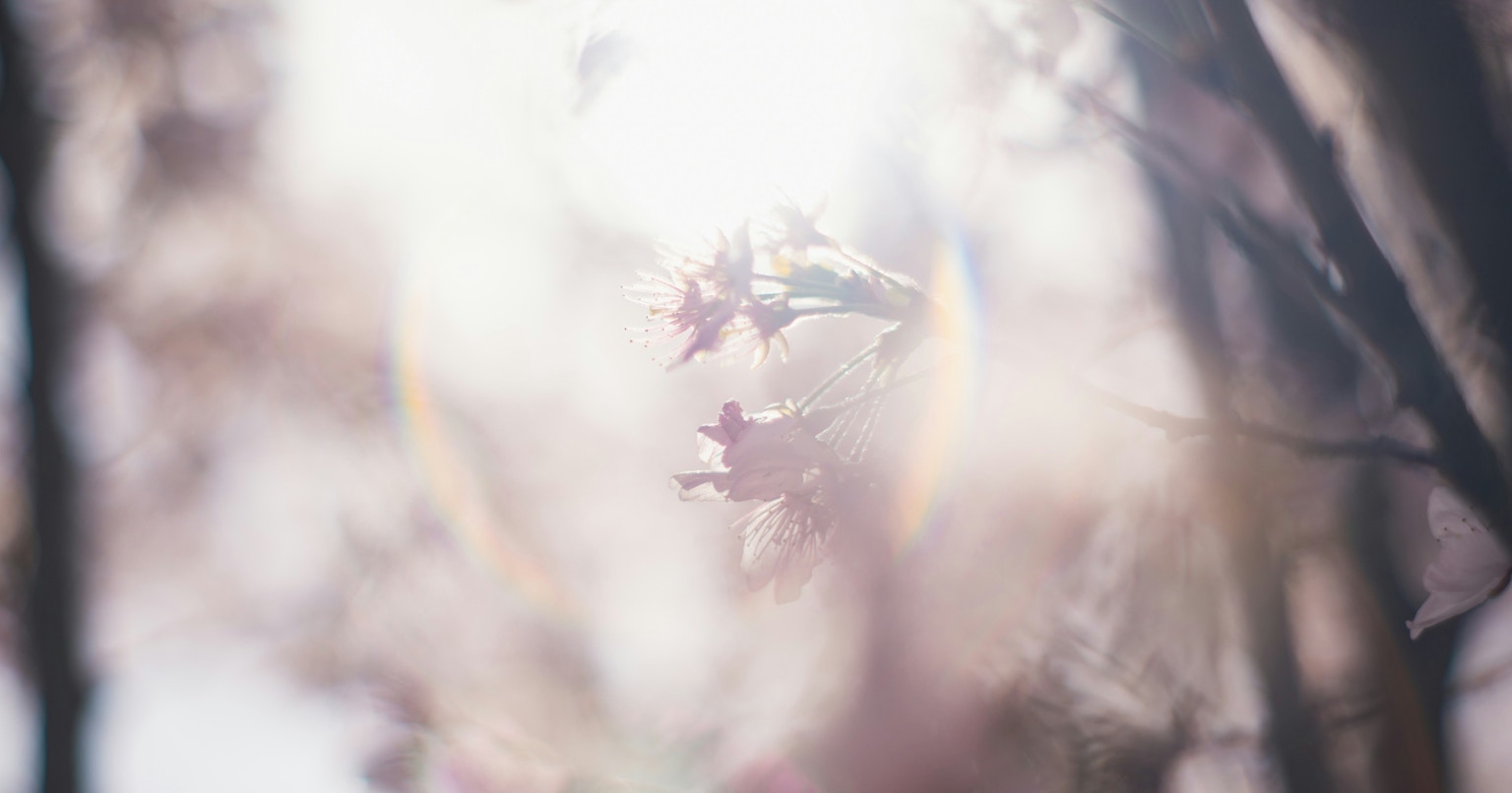 2025-05-spring-swing-award-cover-image