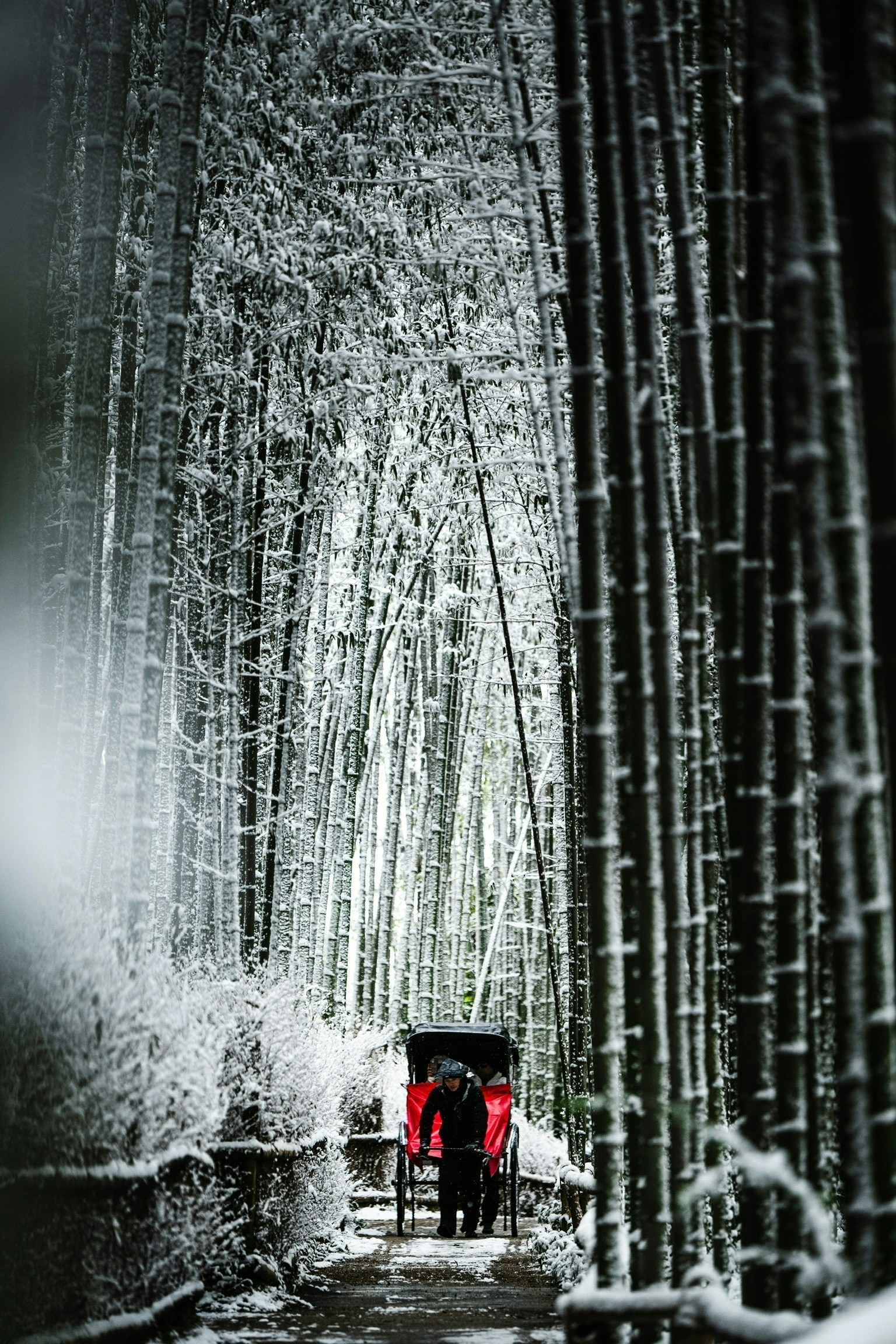 2026-03-february-diary-award-image-8