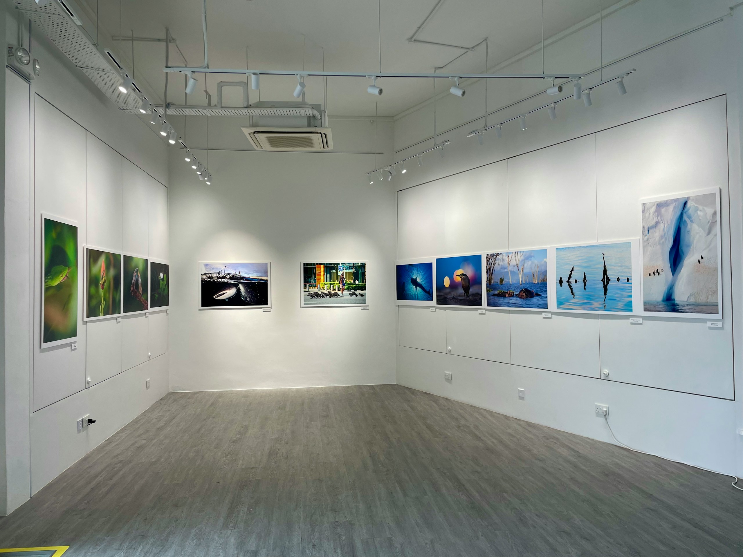 2026-07-ppp-gallery-prinsep-gallery-singapore-image-7