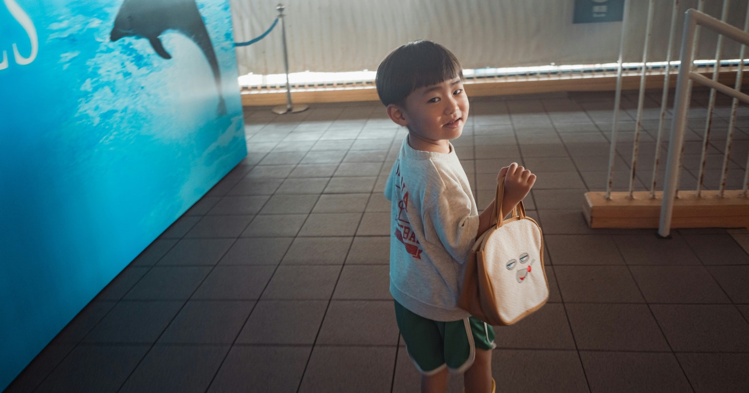 2025-11-fujikko-beyond-camera-again-cover-image