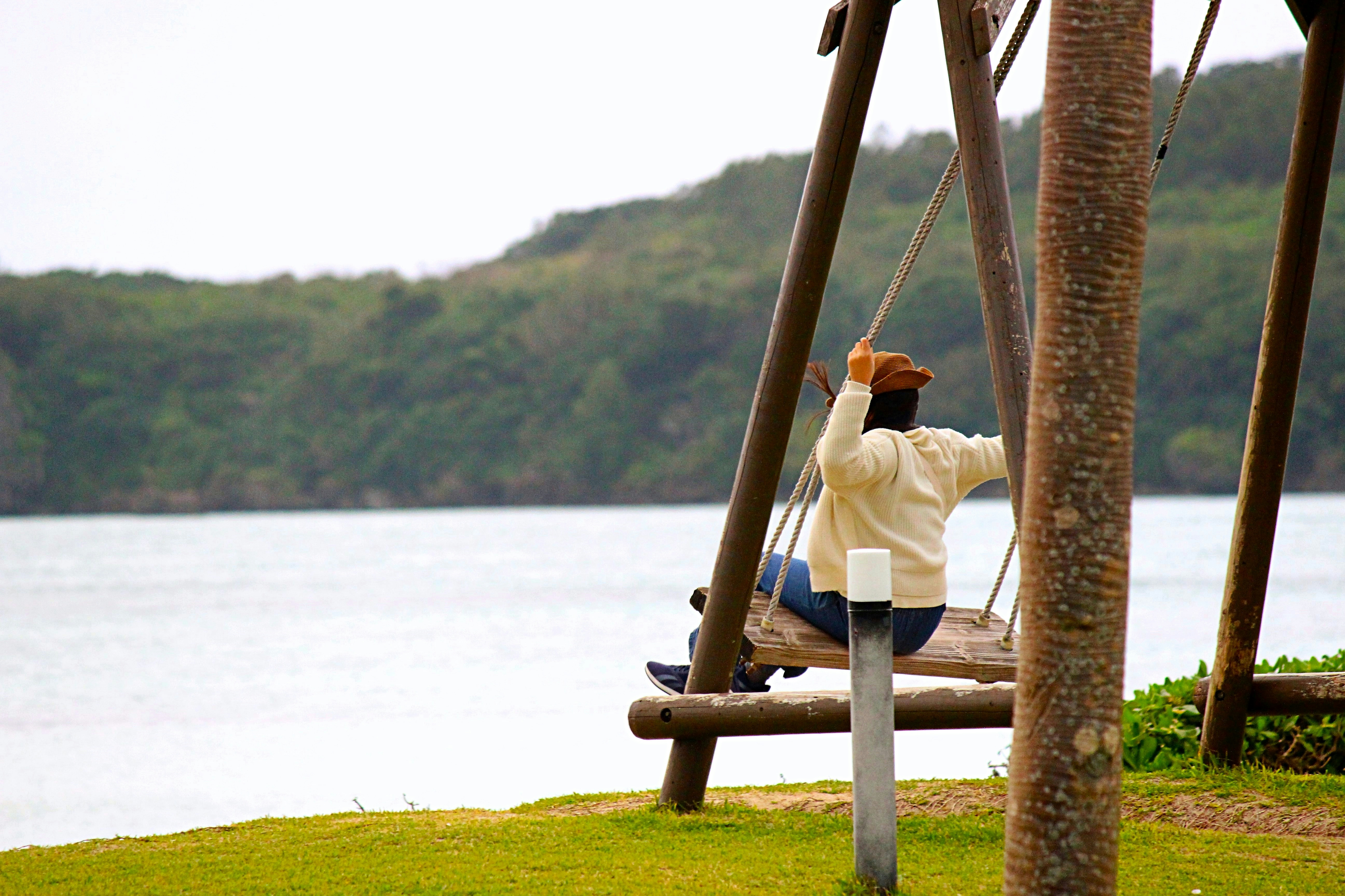 2026-01-rule-of-thirds-cover-image