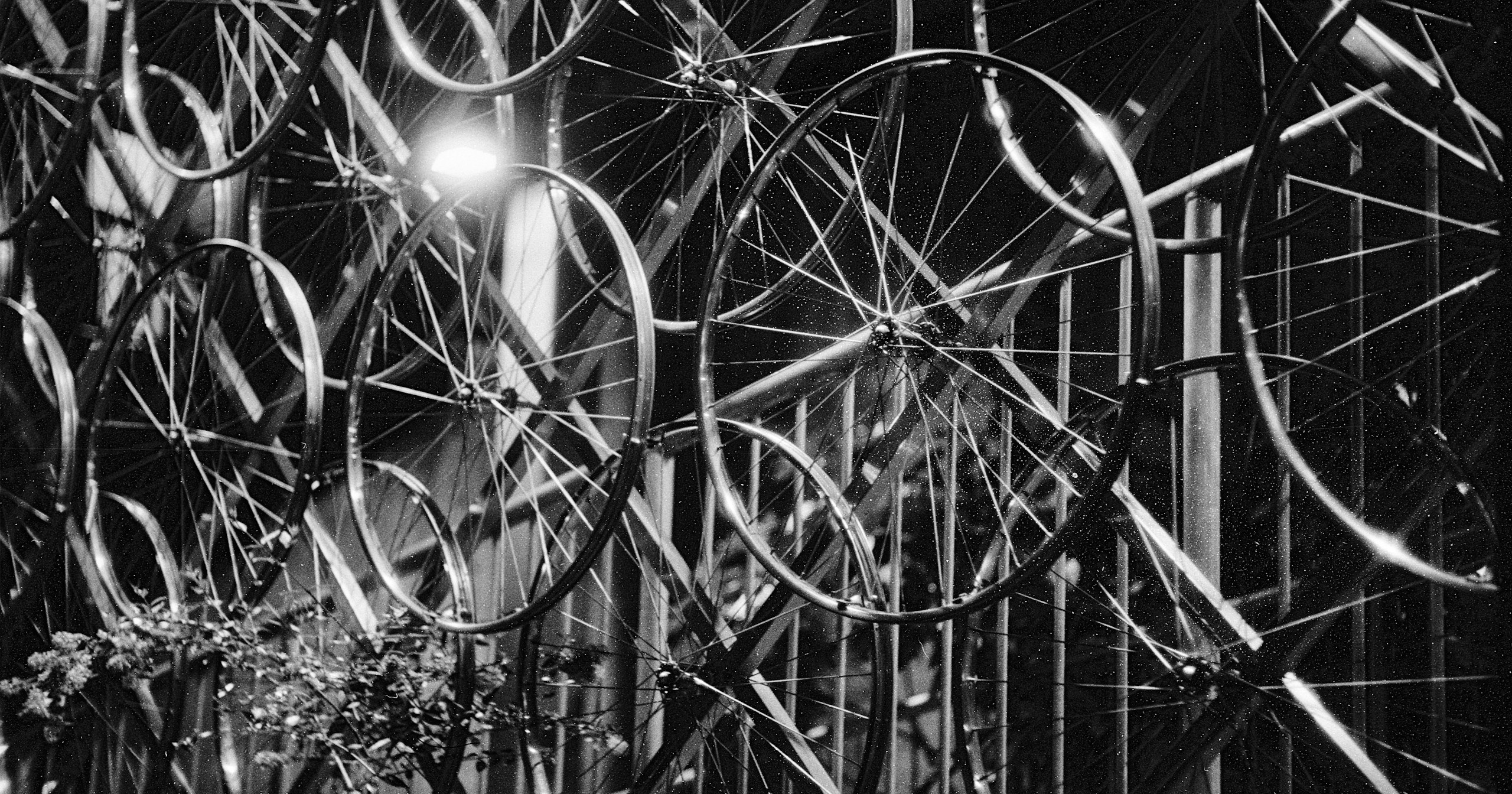 «Round Things», organizado por cizucu | Challenge #402