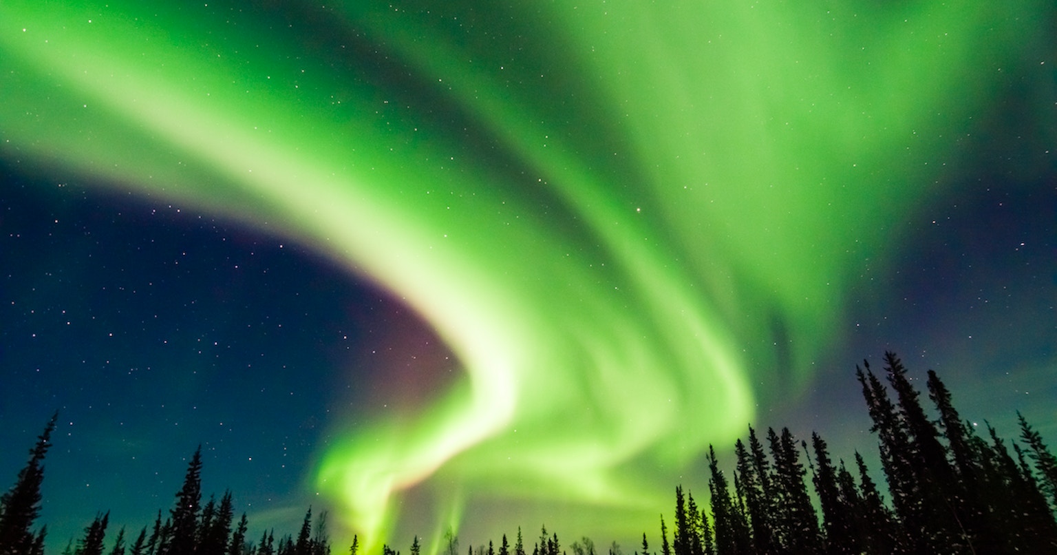 2023-11-landscape-treasures-cover-image