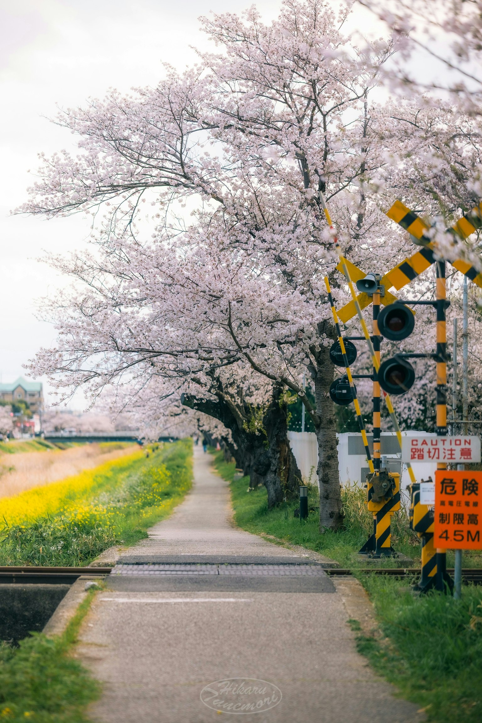 2025-04-spring-report-image-5