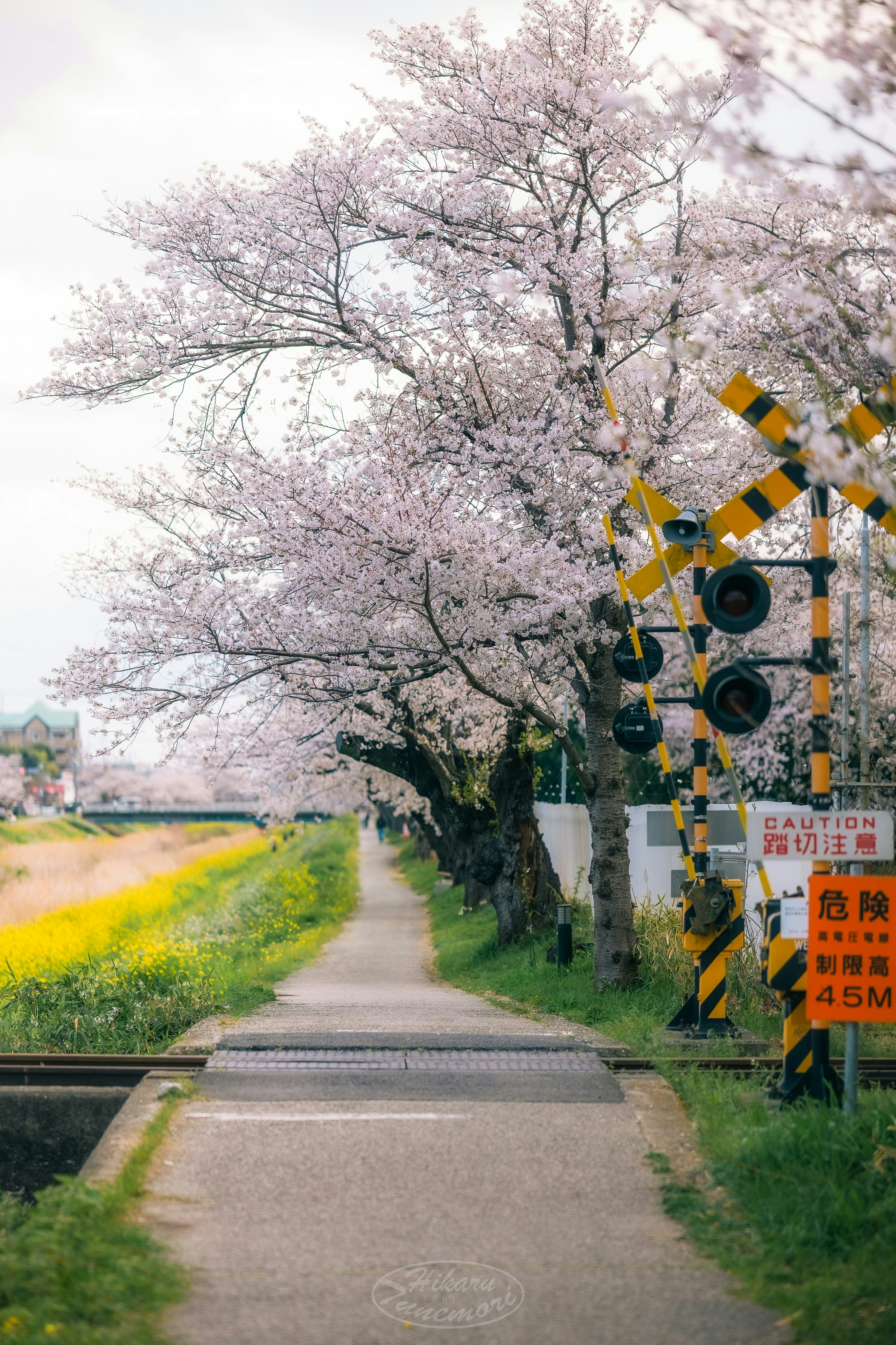 2025-04-spring-report-image-5