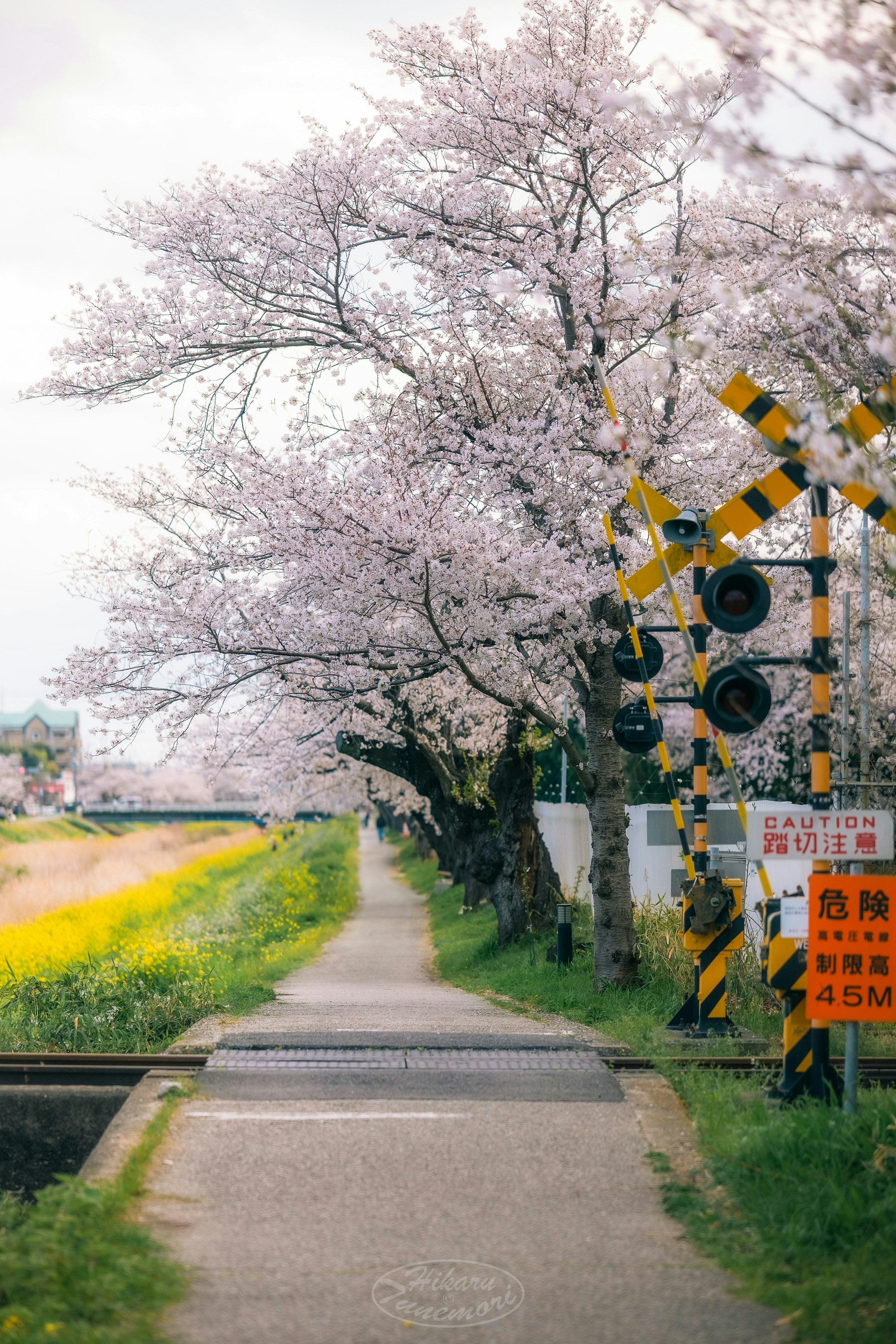 2025-04-spring-report-image-5