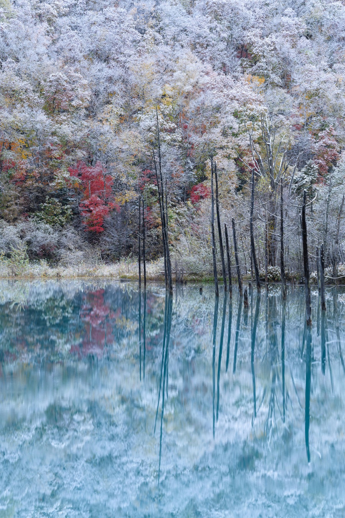 2024-04-spotlight-by-yanma222-ratsi-aco-image-9