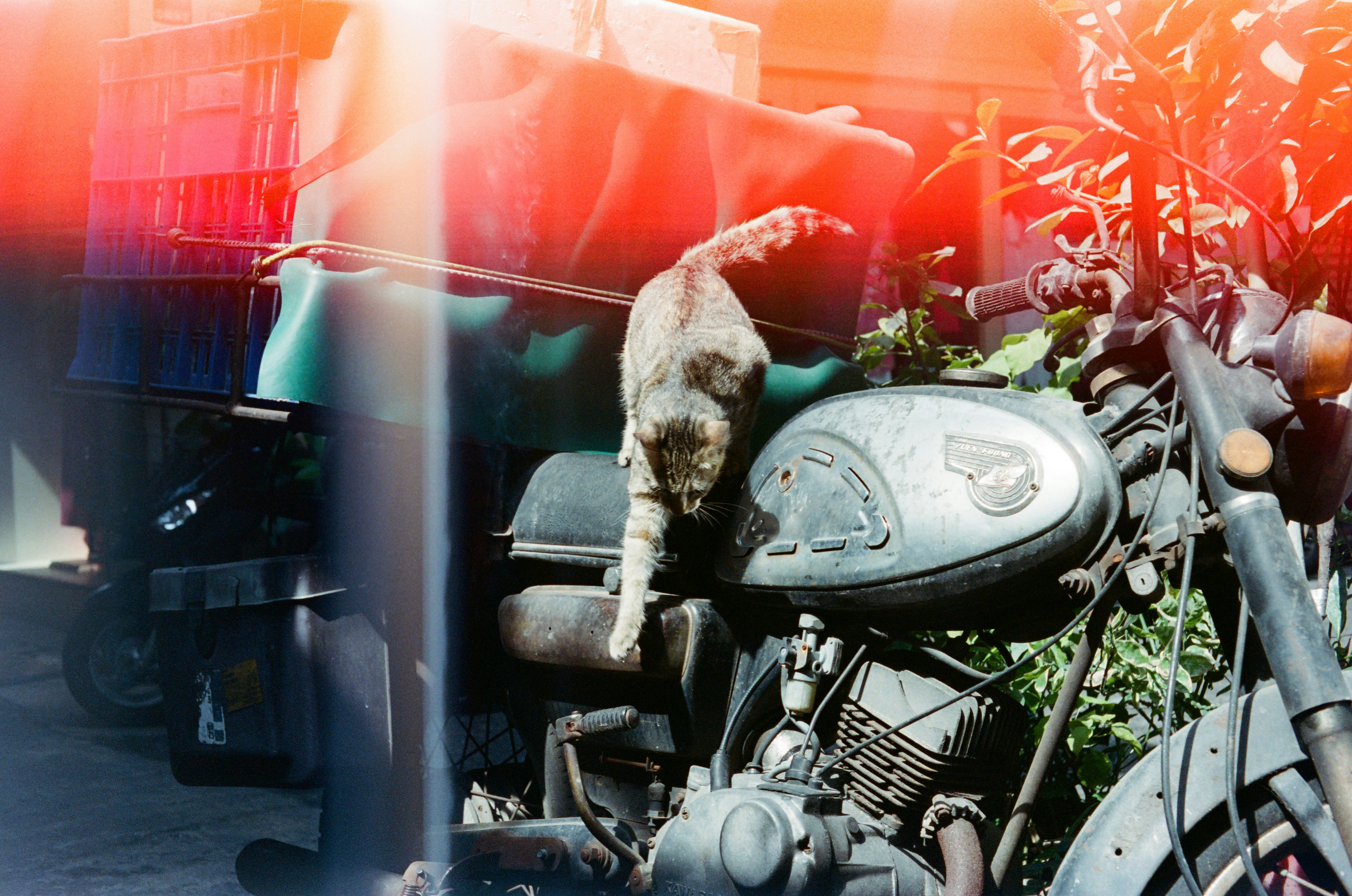 2026-07-find-new-pieces-film-image-34
