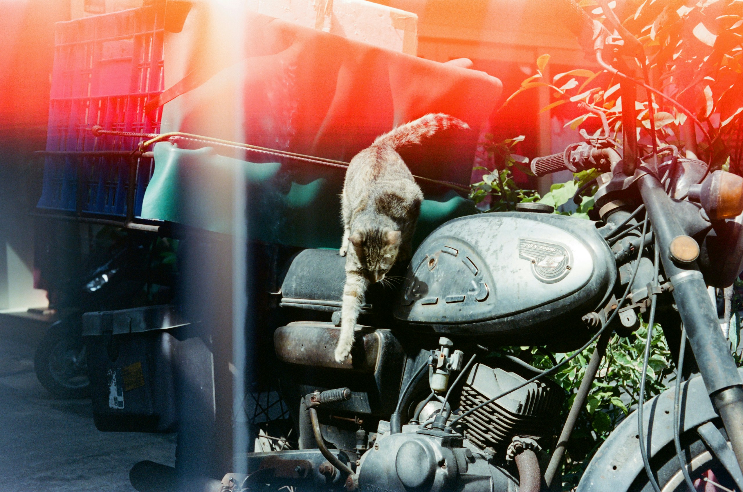 2026-07-find-new-pieces-film-image-34