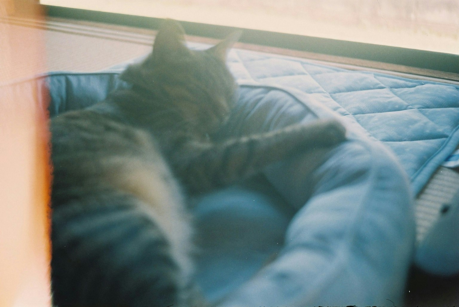 2025-07-masato-grandfather-inherited-camera-image-12