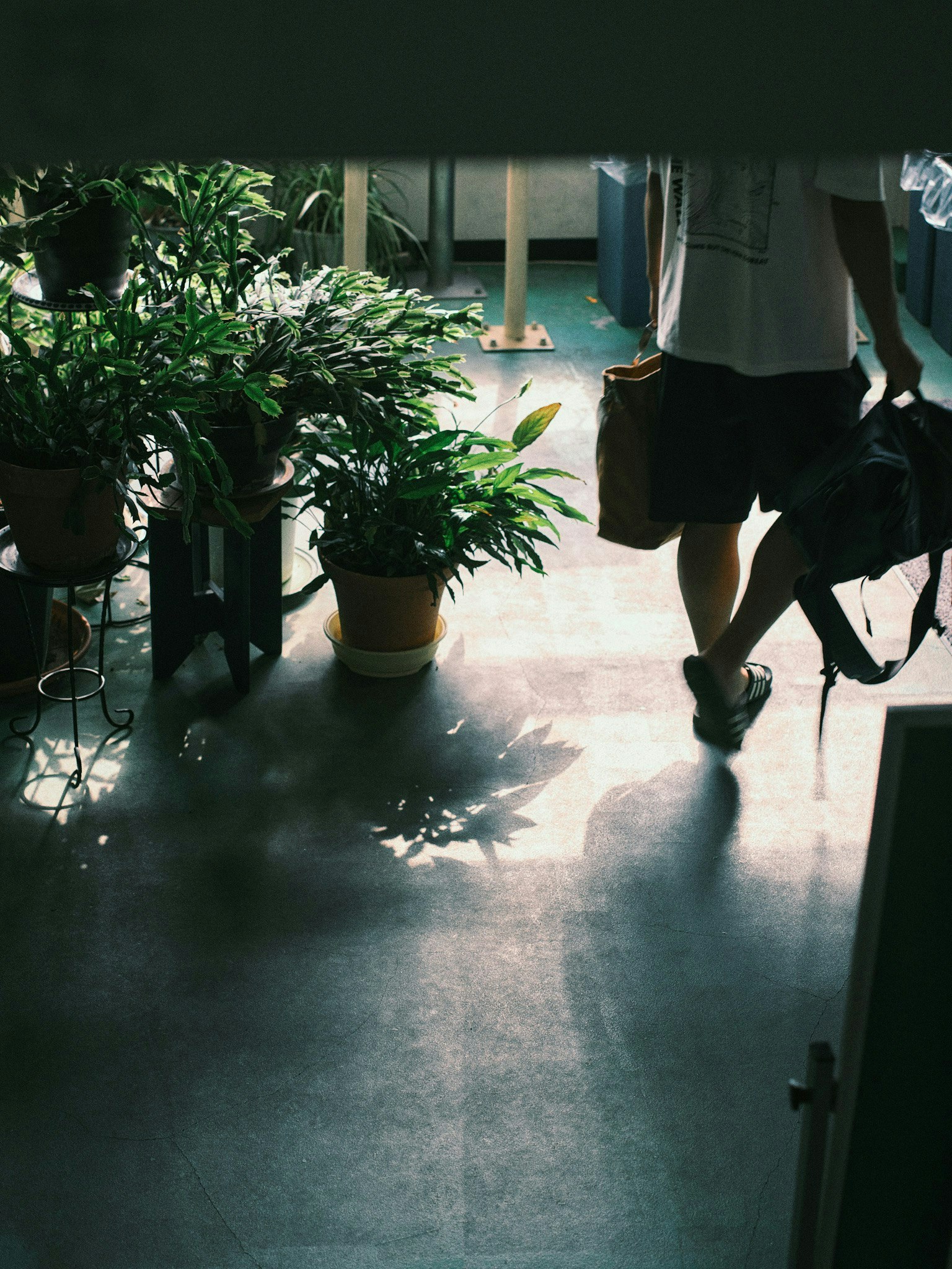 2025-06-sunlit-days-image-12