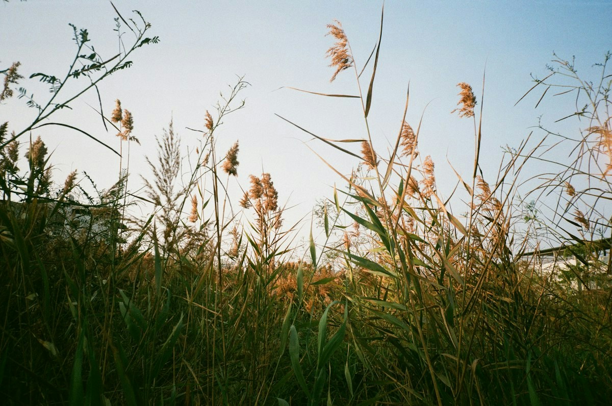 Photo by B