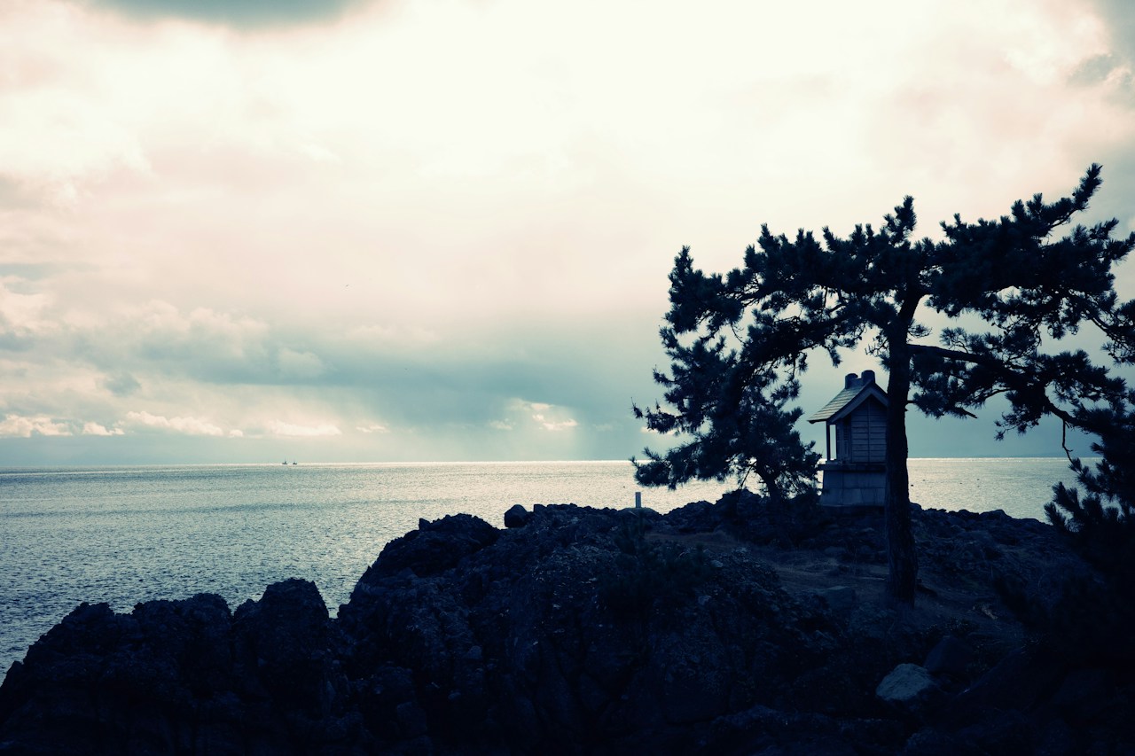 Image by Jang Kumi