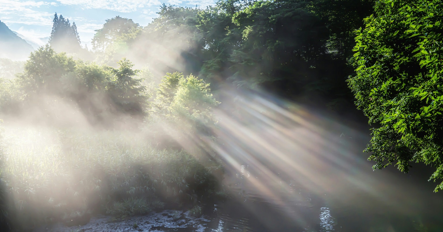 2025-02-fog-photography-cover-image