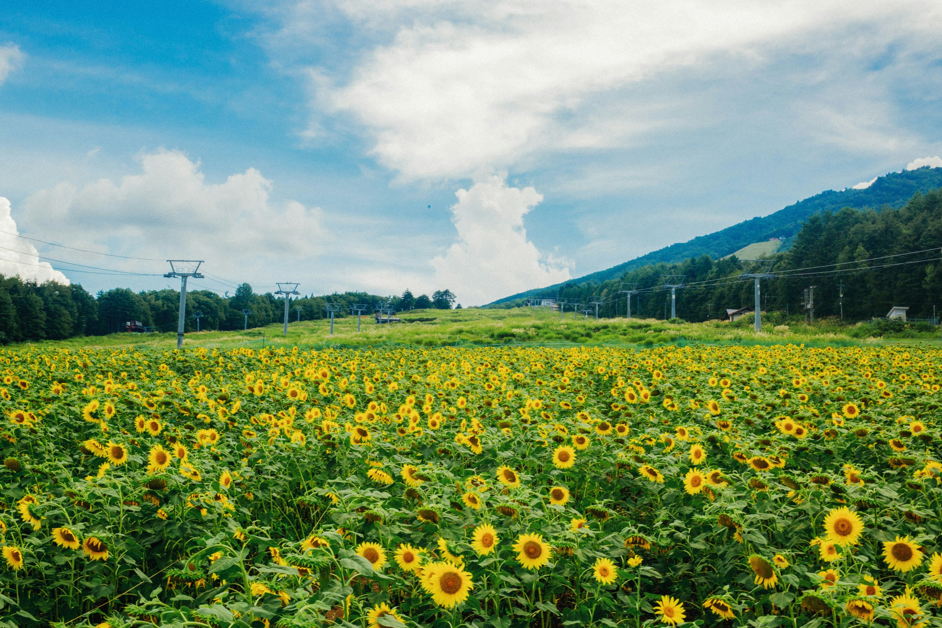 2026-07-hida-takayama-spots-by-hamada-nobuhiro-image-21