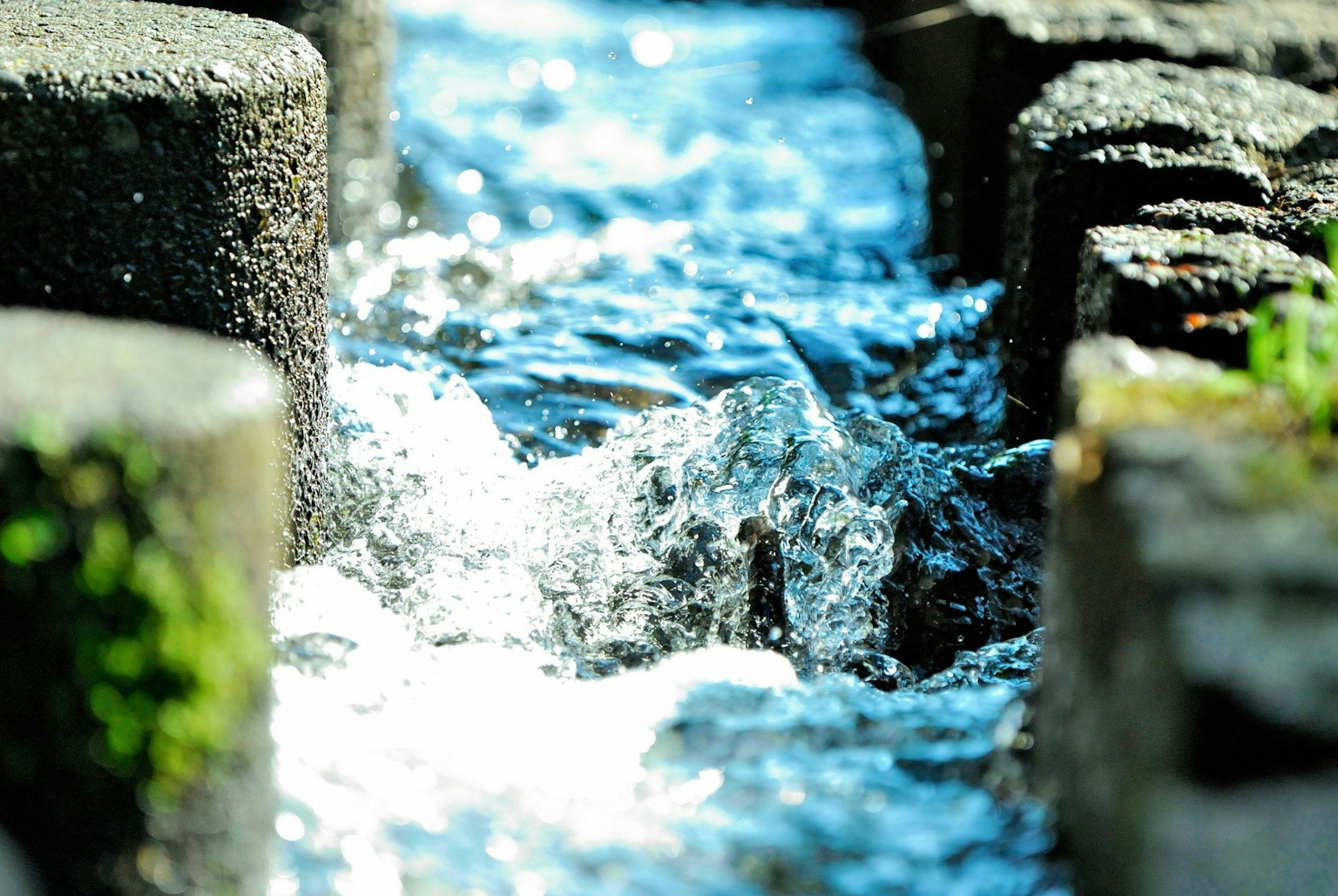 2025-06-photo-contest-pr-2-image-19