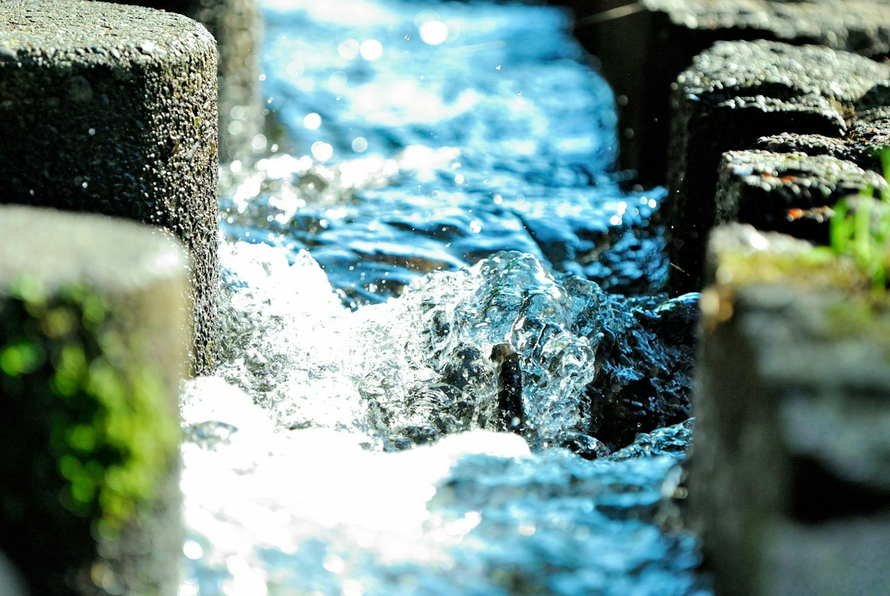 Photo by kou