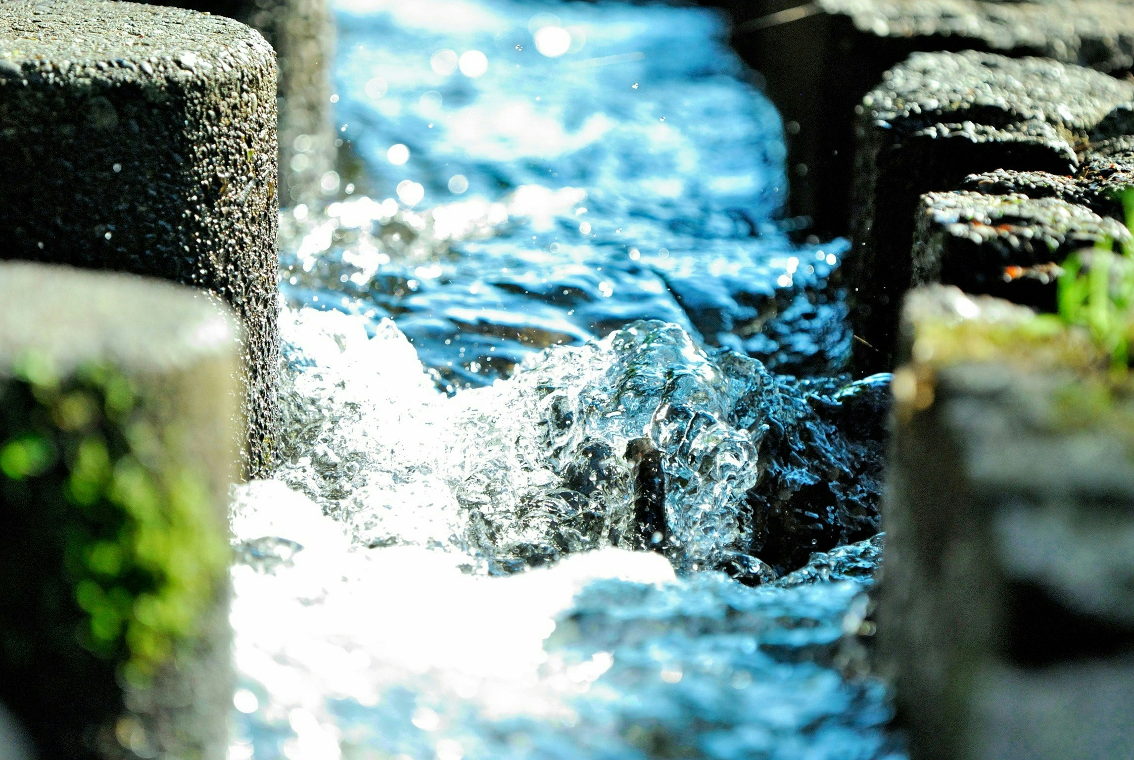 Photo by kou