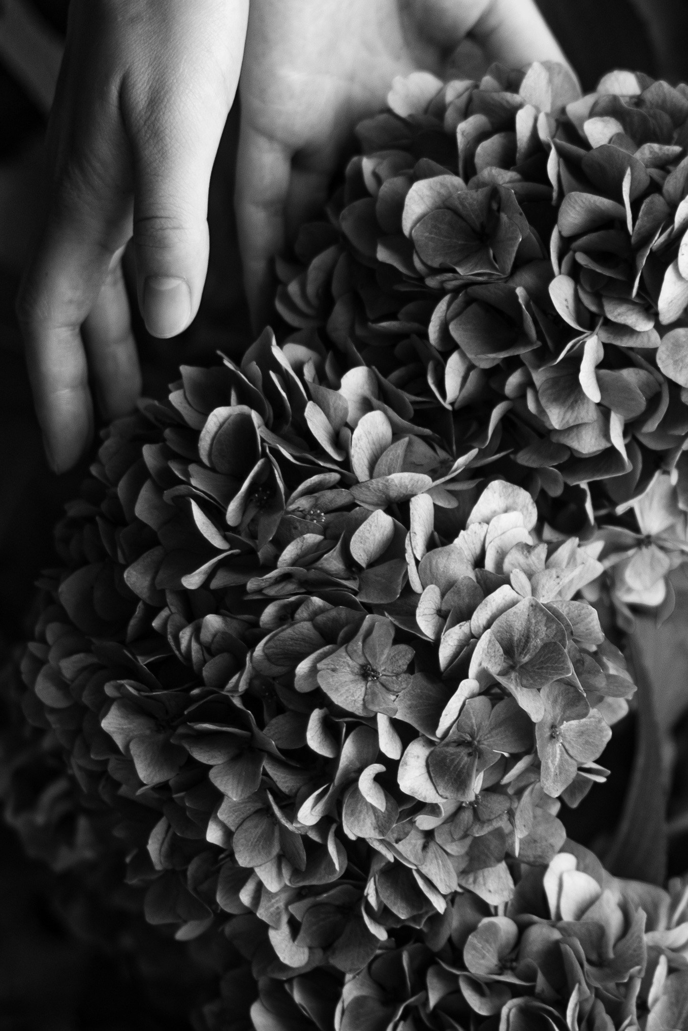 Image by h. seico