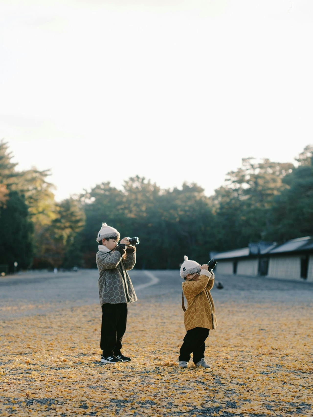 Photo by kazuki