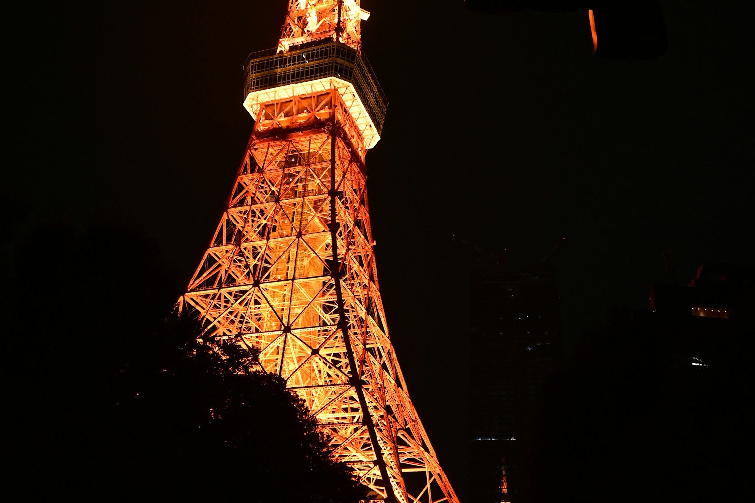 2024-03-walikng-in-the-night-snap-image-15