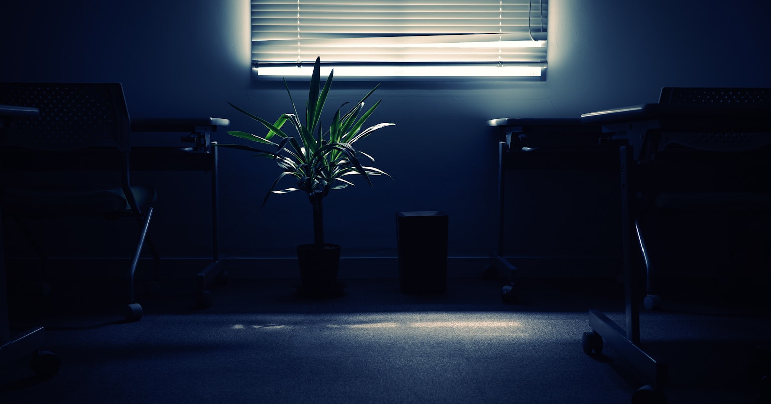 2024-03-spotlight-by-yanma222-z-k-sentimental-jong-cover-image