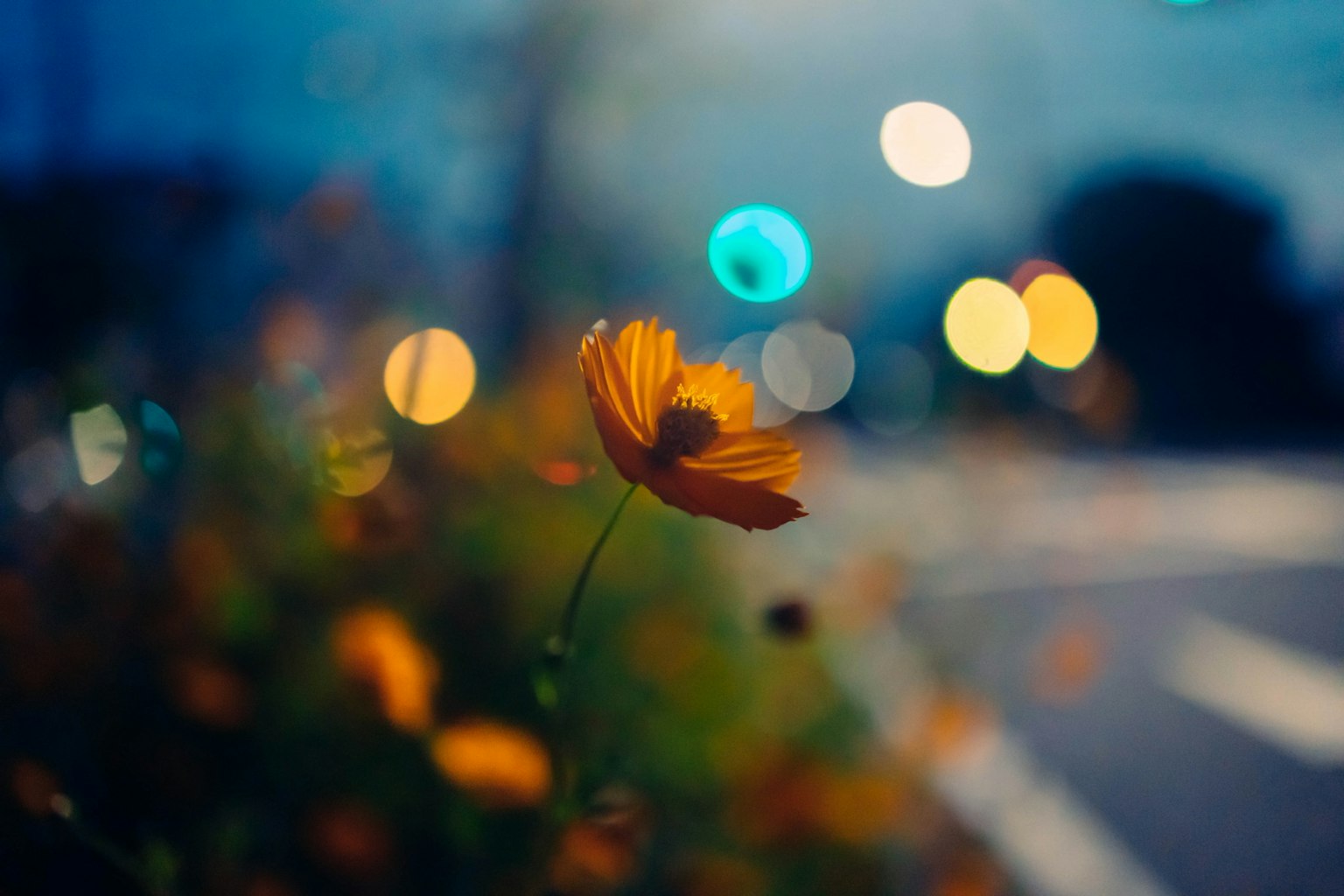 2023-07-capture-your-emotion-award-image-4