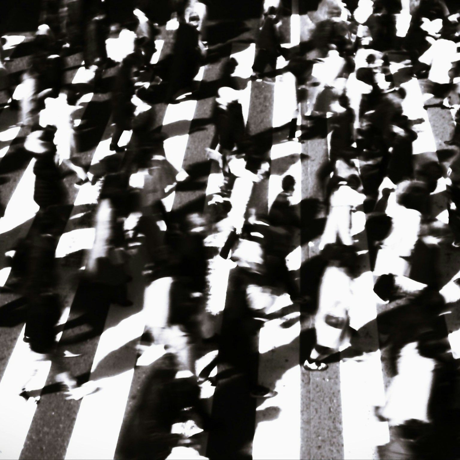 2024-05-google-photoes-curation-cover-image