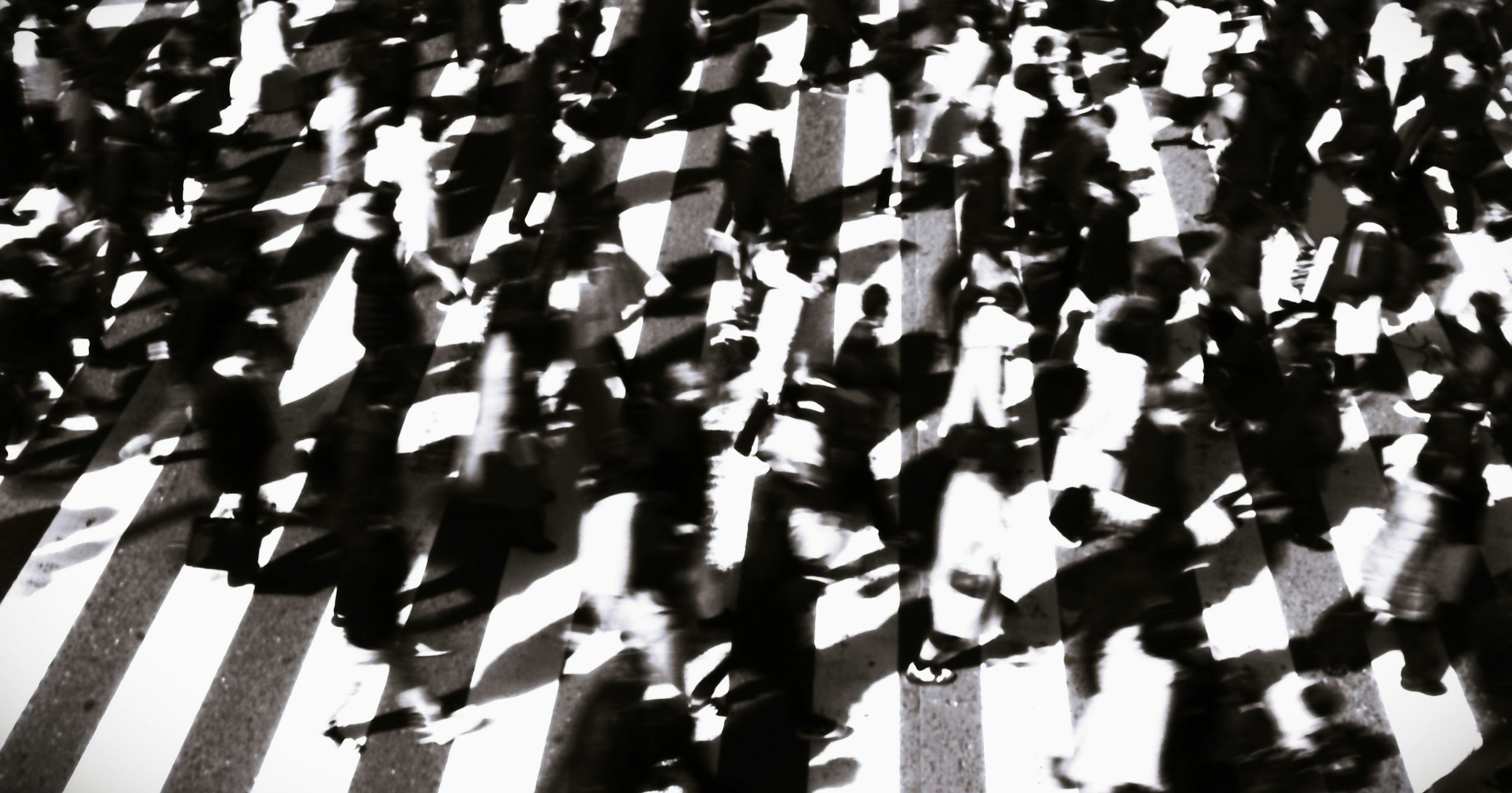 2024-05-google-photoes-curation-cover-image