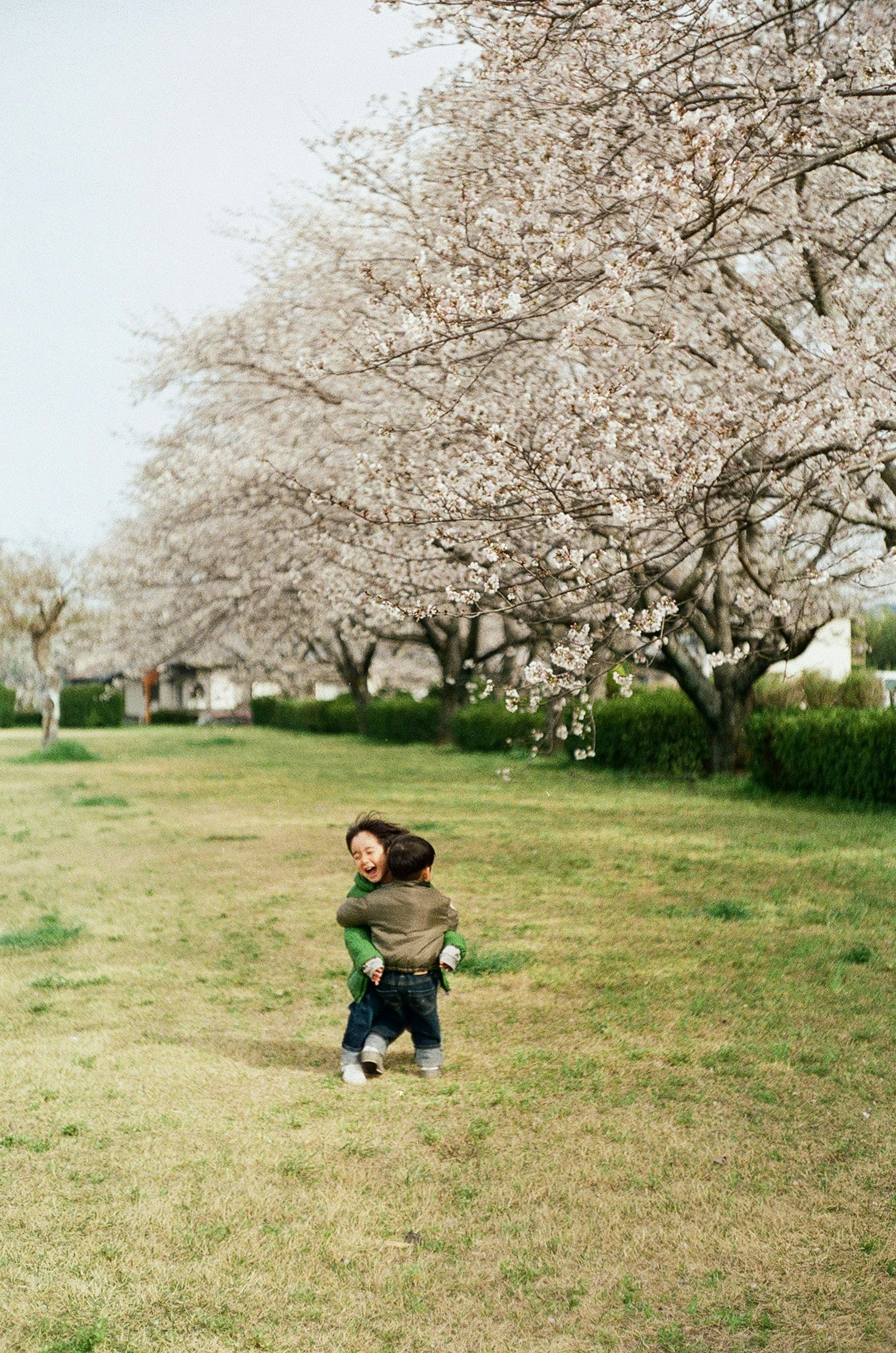 2026-06-memories-with-wide-angle-image-12