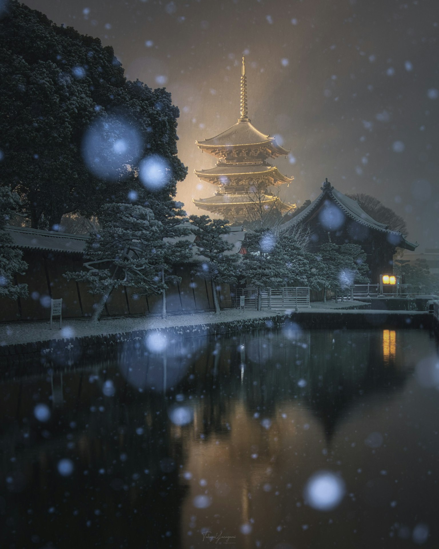 2024-03-winter-magic-image-13