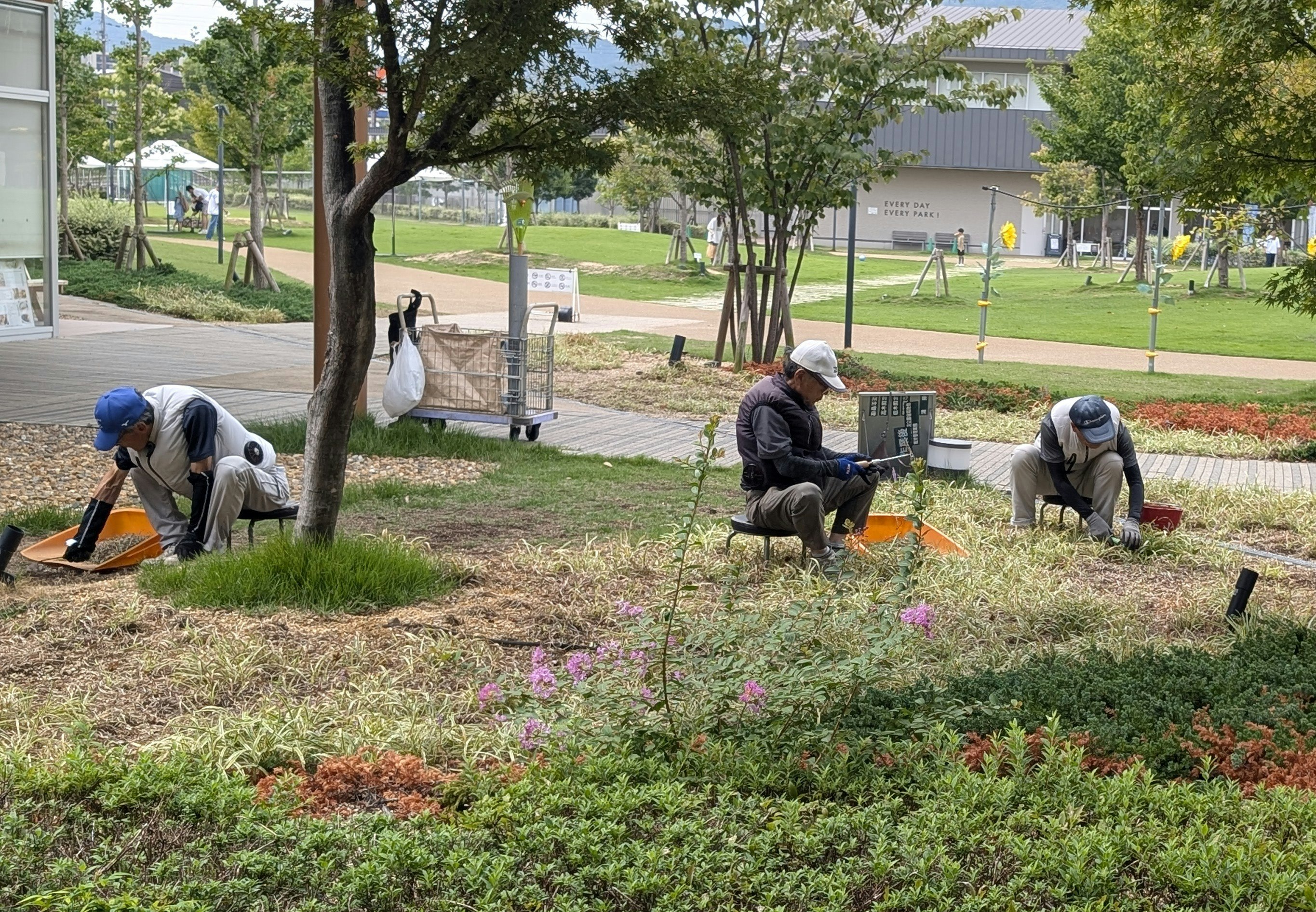 2025-12-parks-vibes-award-image-45