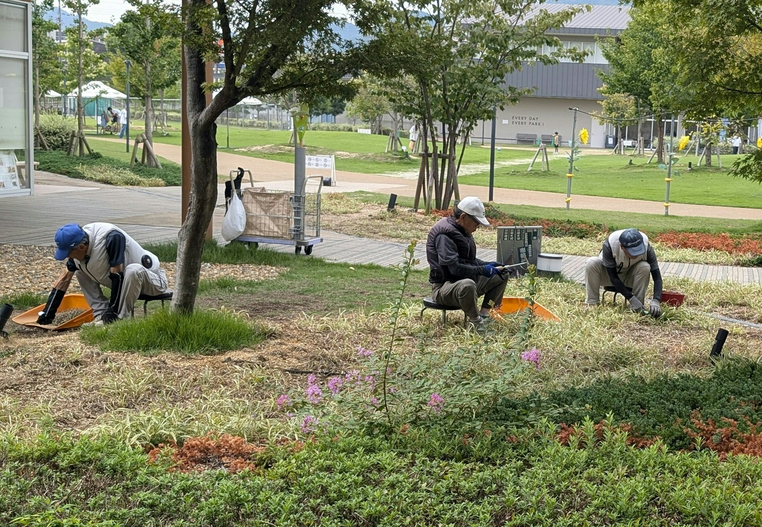 2025-12-parks-vibes-award-image-45