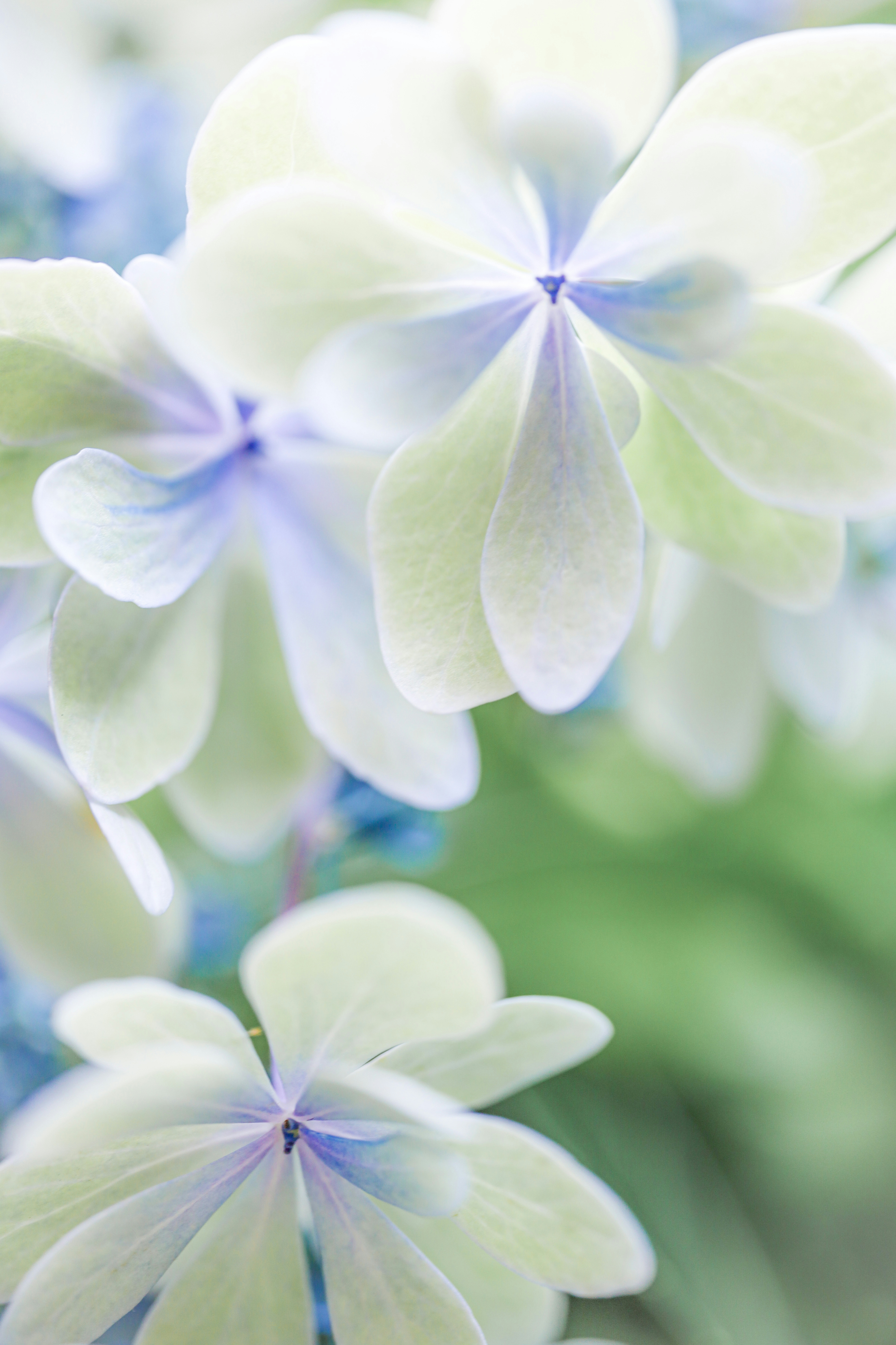 2026-02-staying-natural-with-eos-rp-image-7