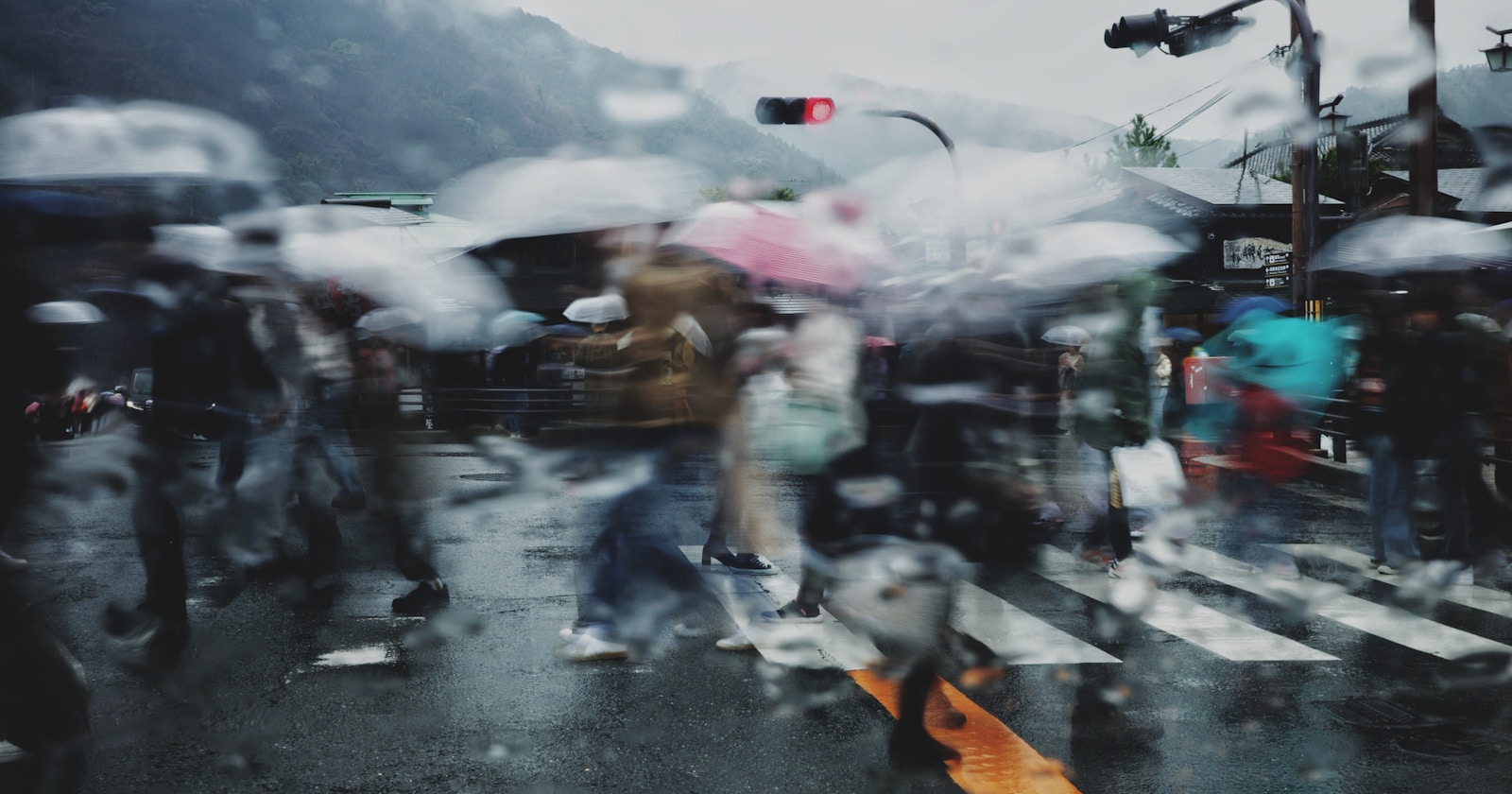 Même sous la pluie, une journée parfaite pour photographier | Focus #146