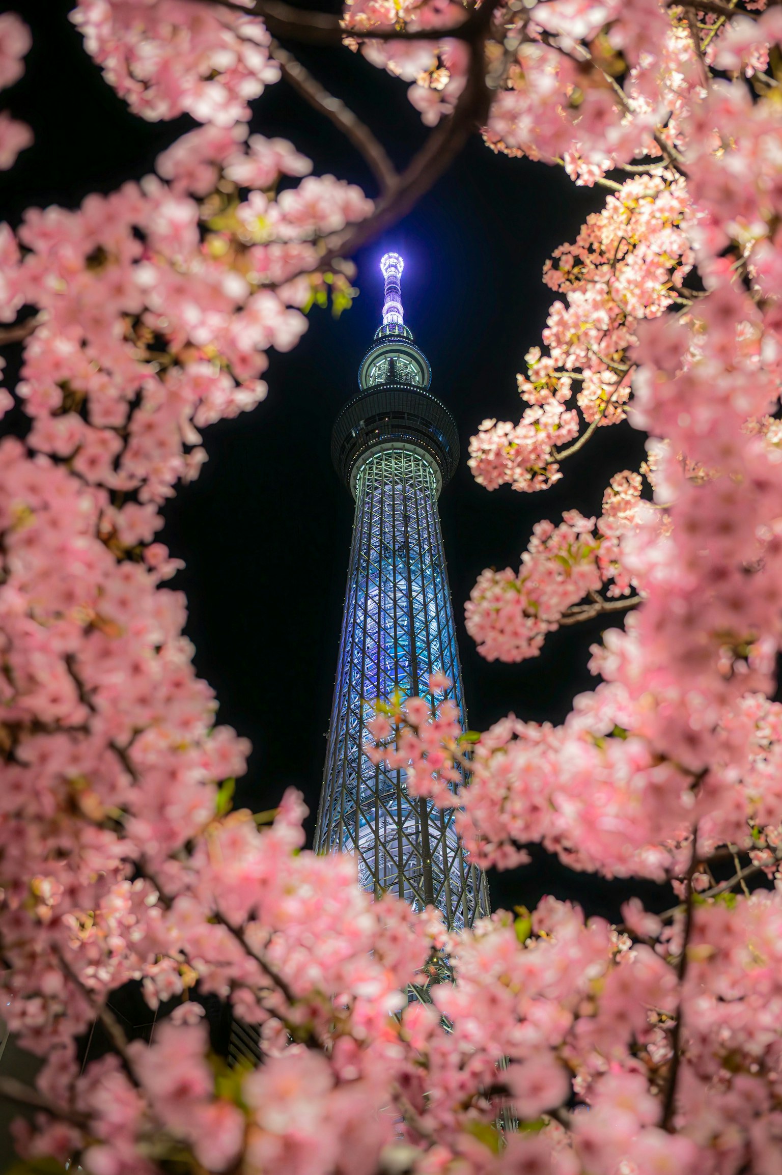 2025-08-spotlight-tomoyuki-rozroz-yanma222-image-6