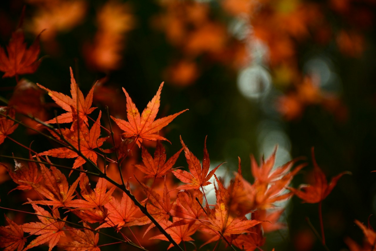 Photo by florete