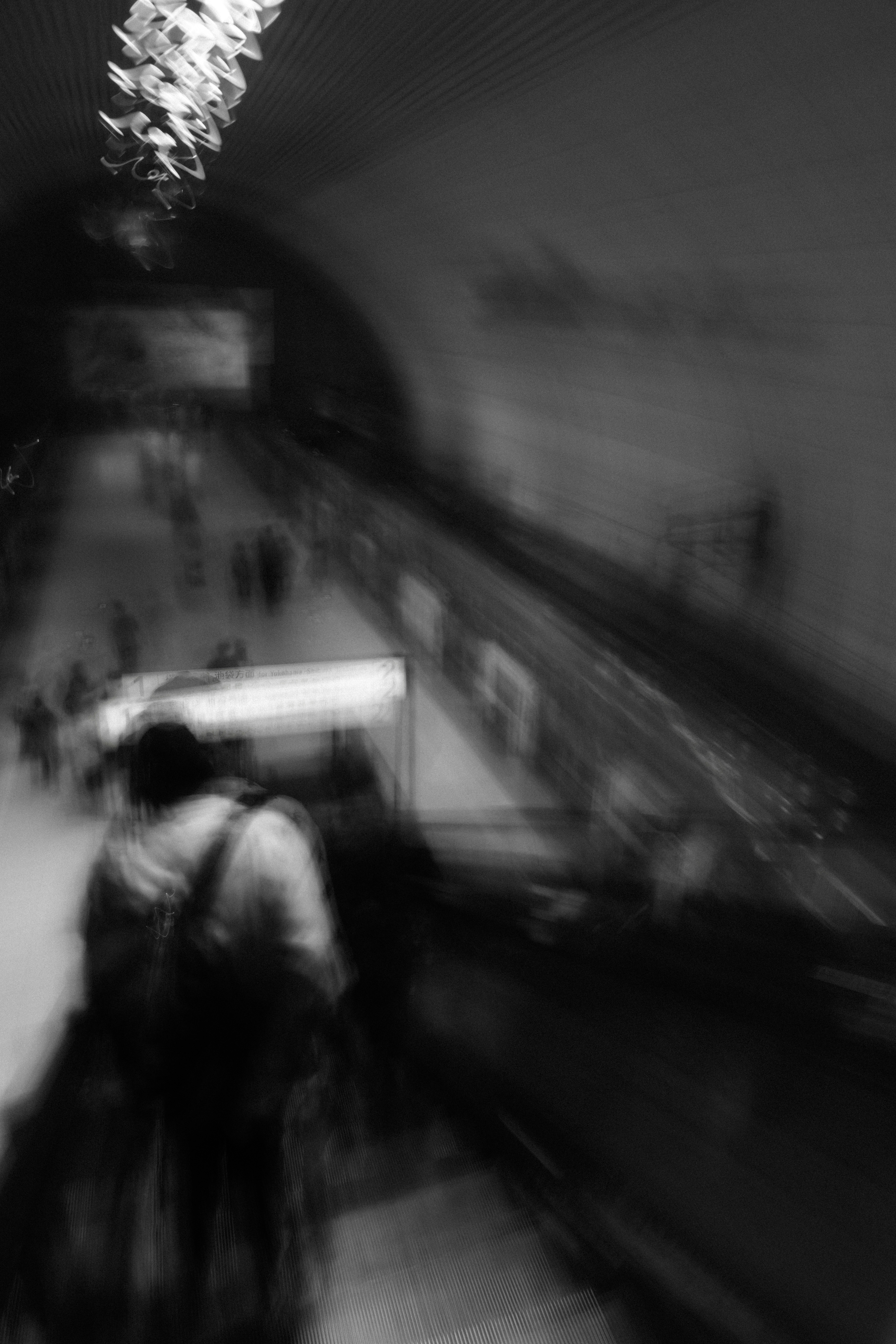 Photo by 勇人