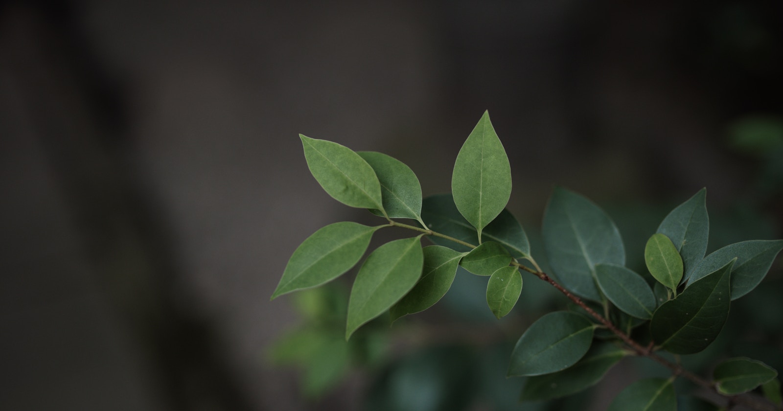How to Utilize Instagram's New Feature 'Best Practices' | Release #329