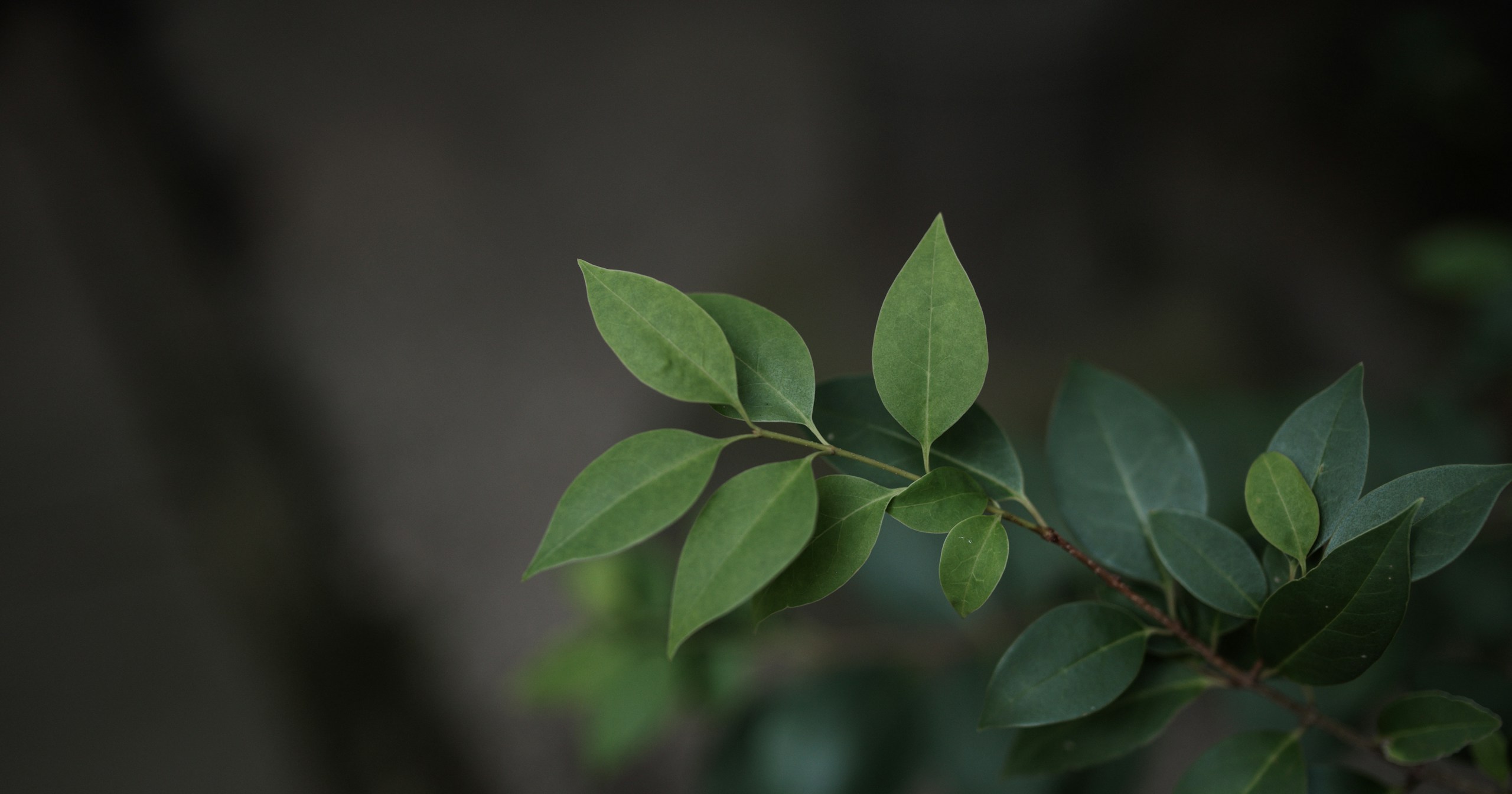 How to Utilize Instagram's New Feature 'Best Practices' | Release #329