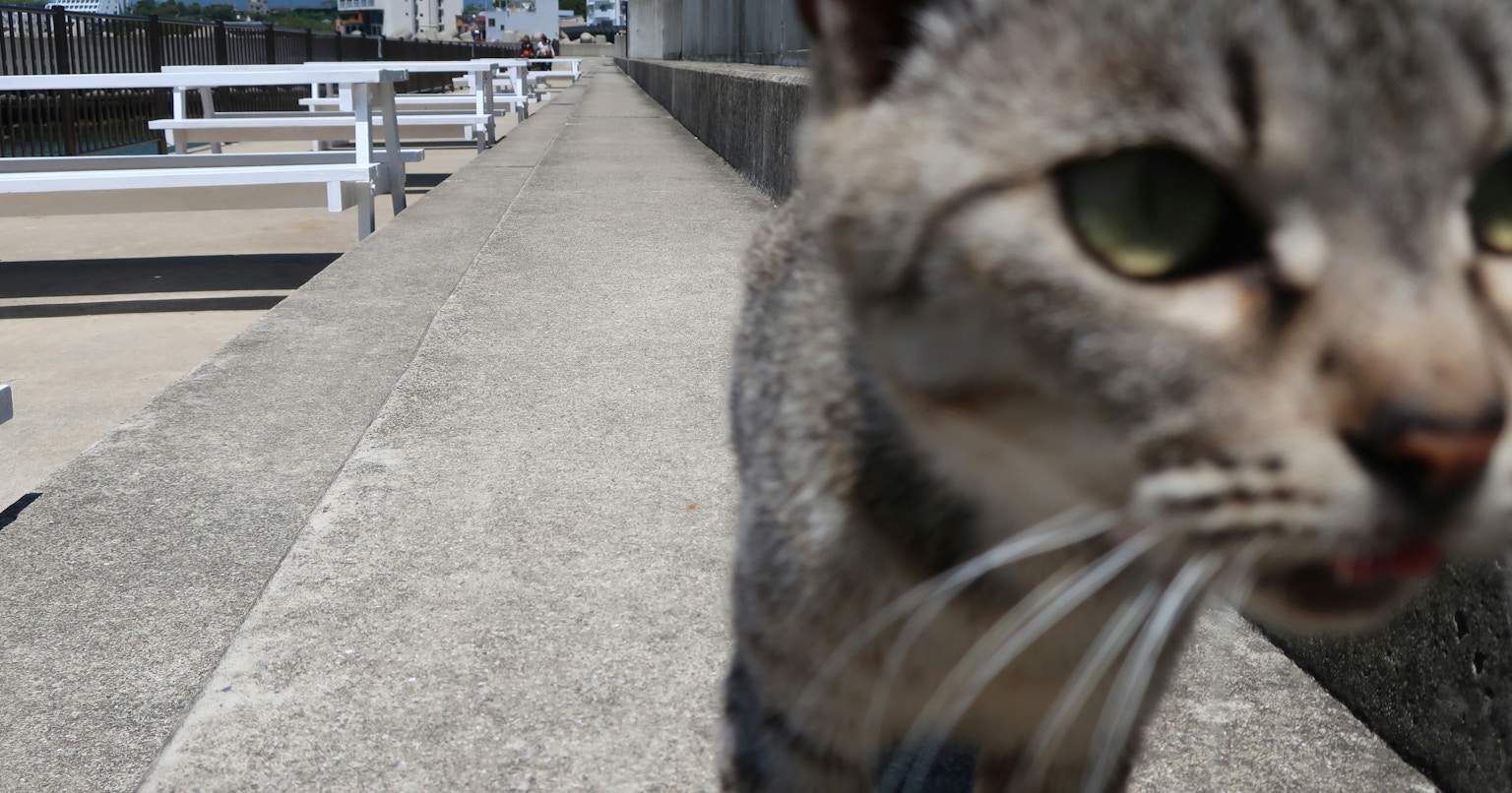 2025-04-perfectly-imperfect-cover-image