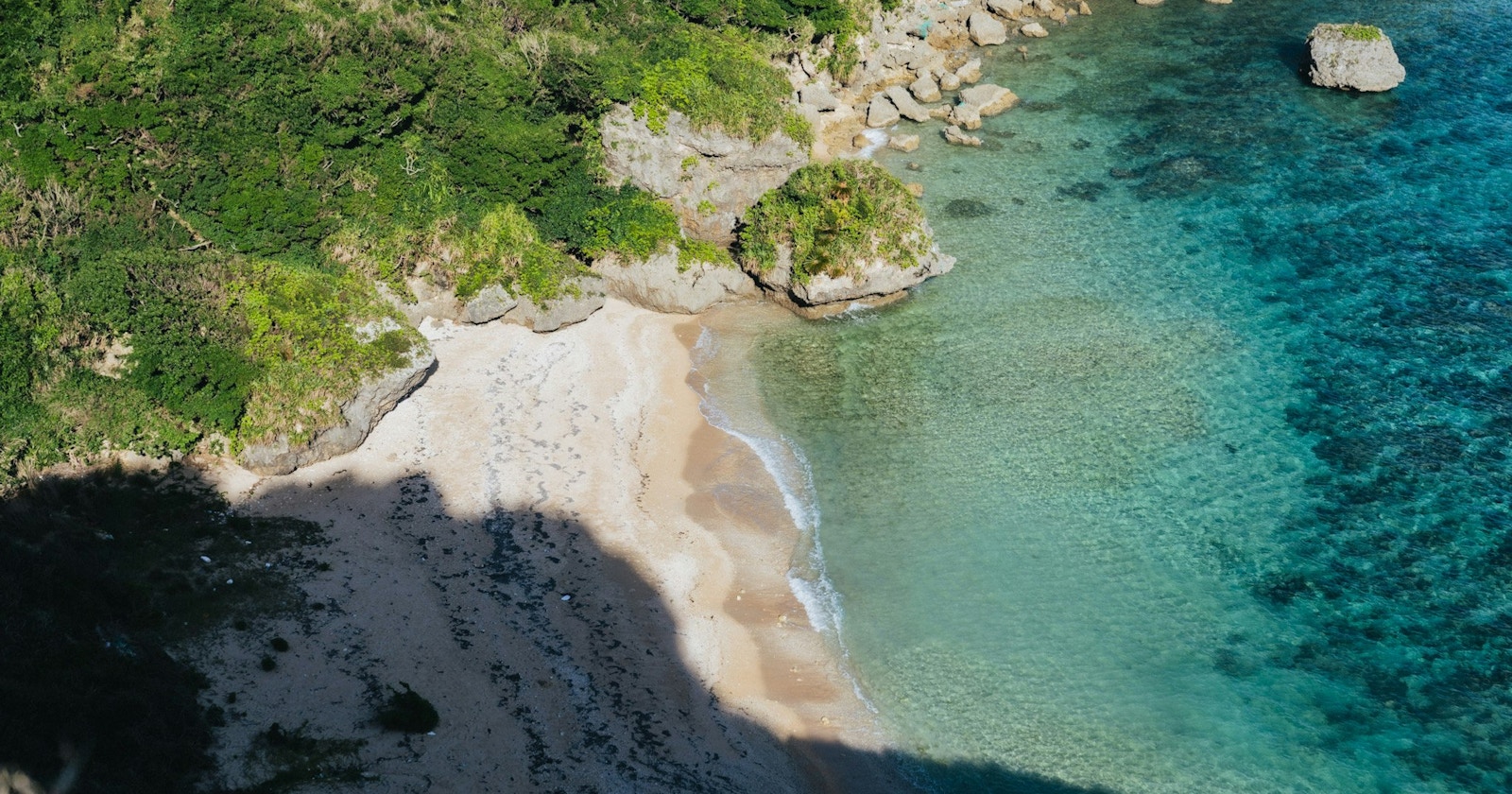 Discover the Perfect Shot Moment with AI Weather Model 'GenCast' | Release #395